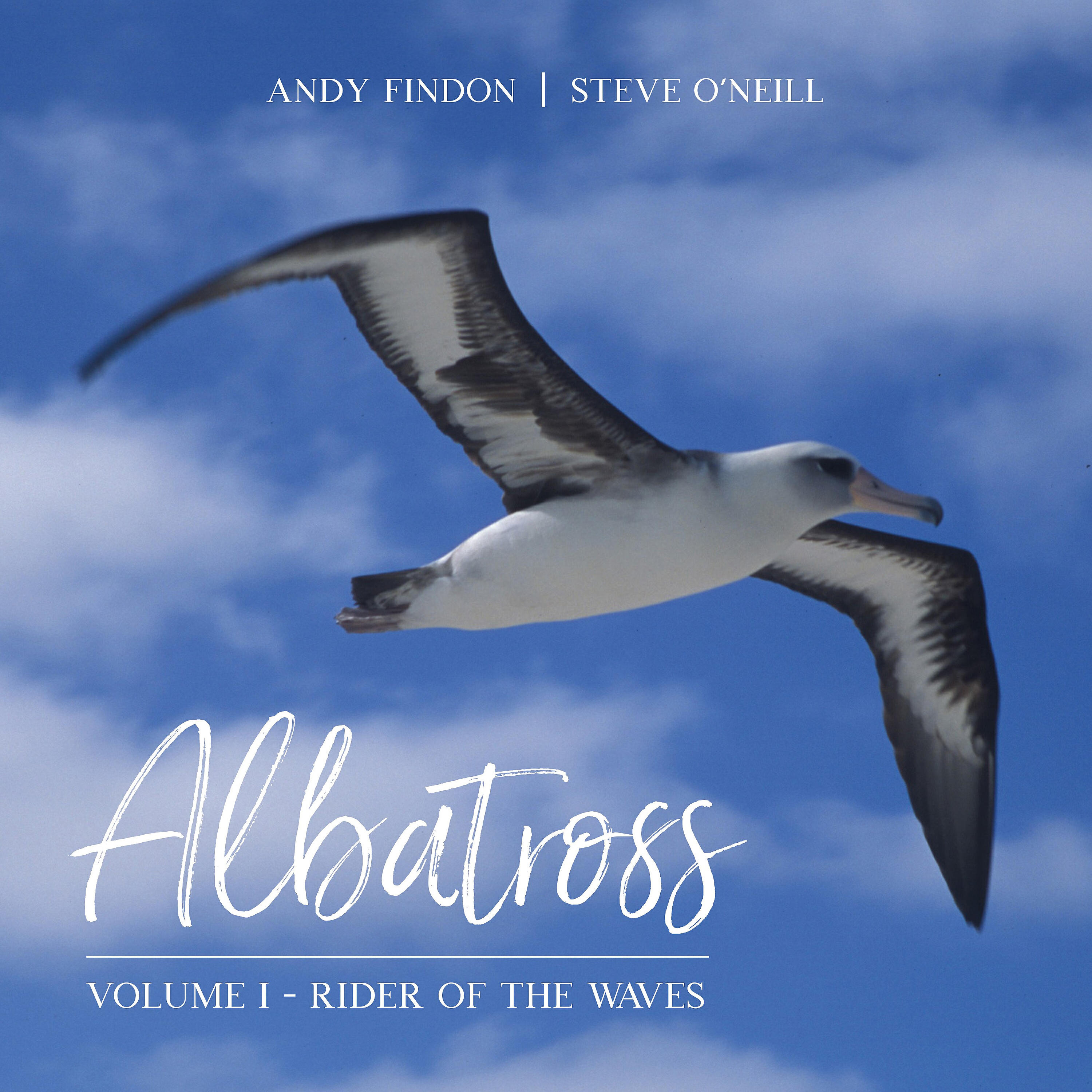 Andy Findon - The Hatchling