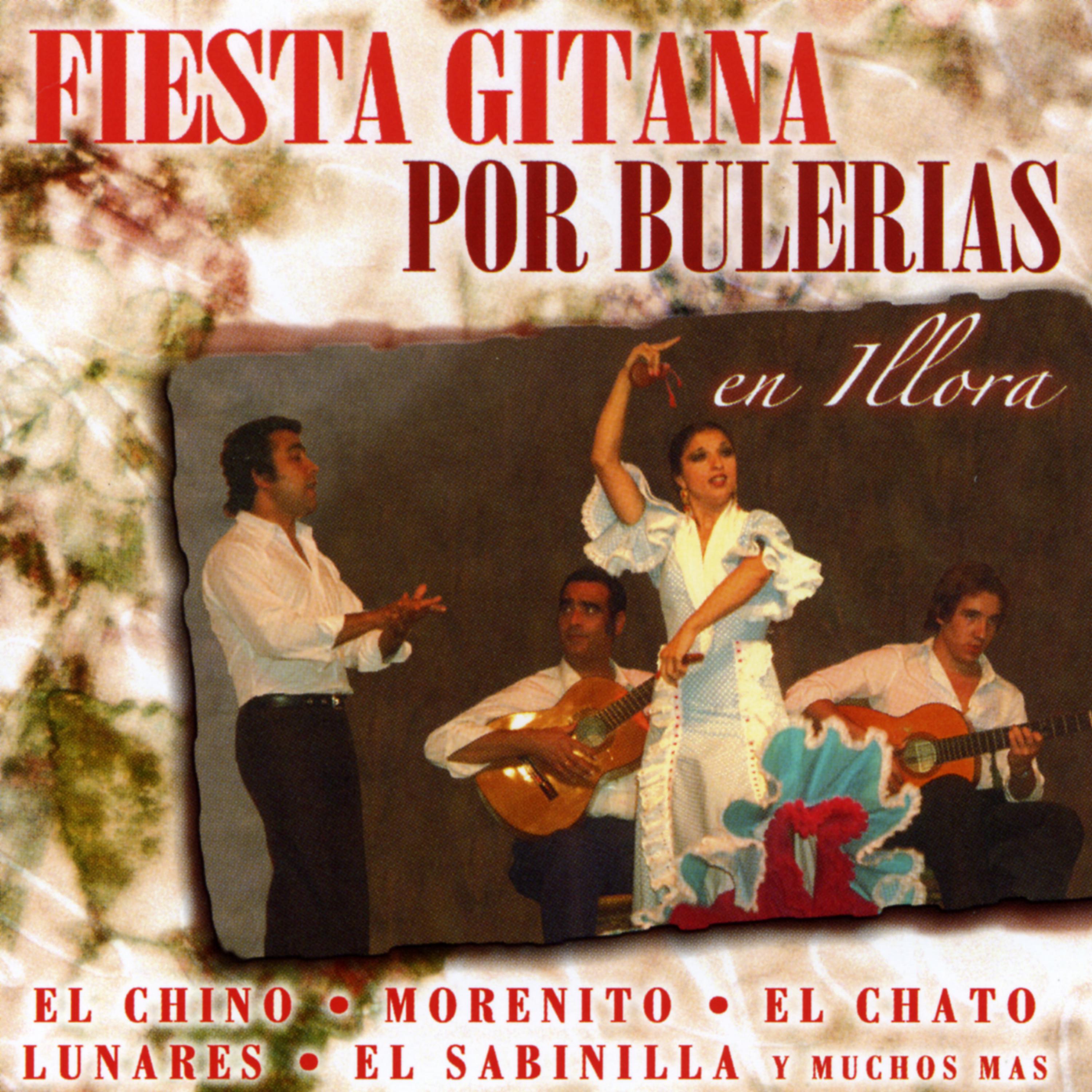 Постер альбома Fiesta Gitana Por Bulerías En Illora