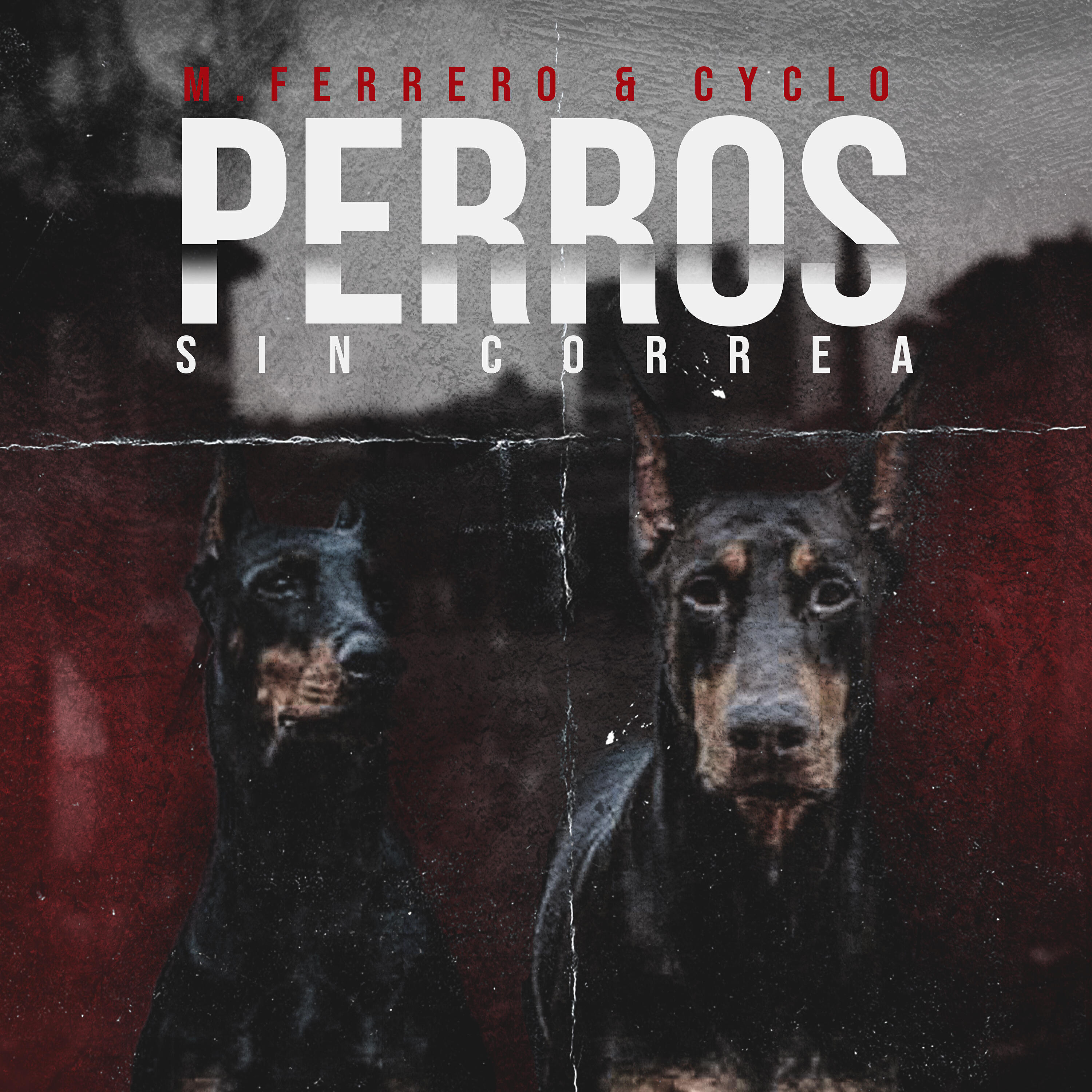 M.Ferrero - Perros Sin Correa