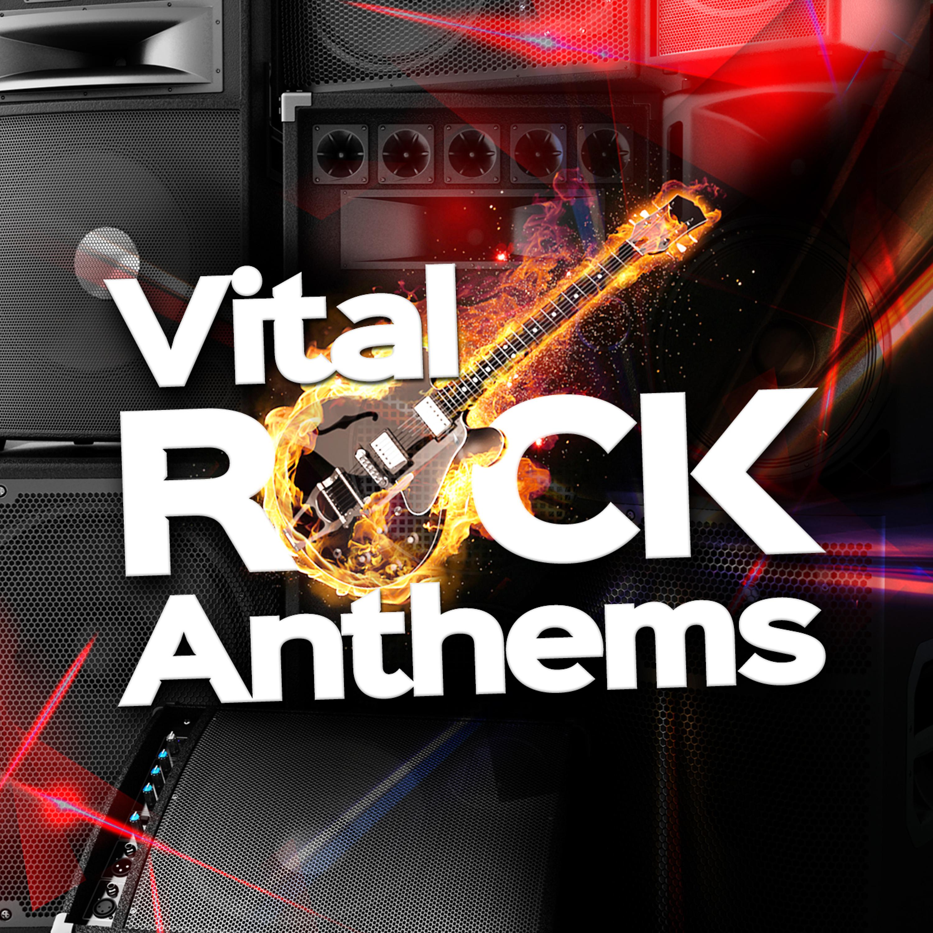 Постер альбома Vital Rock Anthems