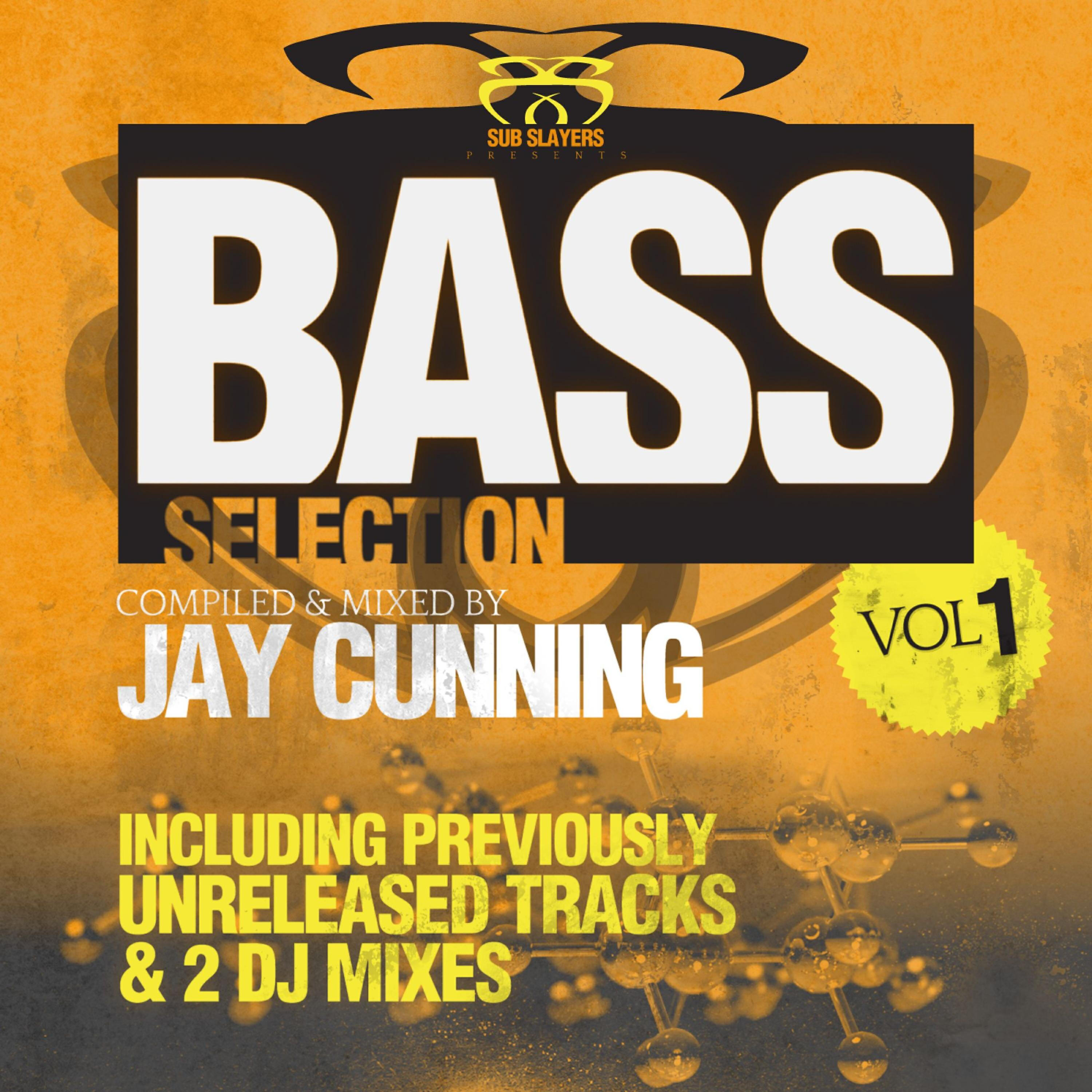 Jay Cunning - Bad Girls (Schema Remix)