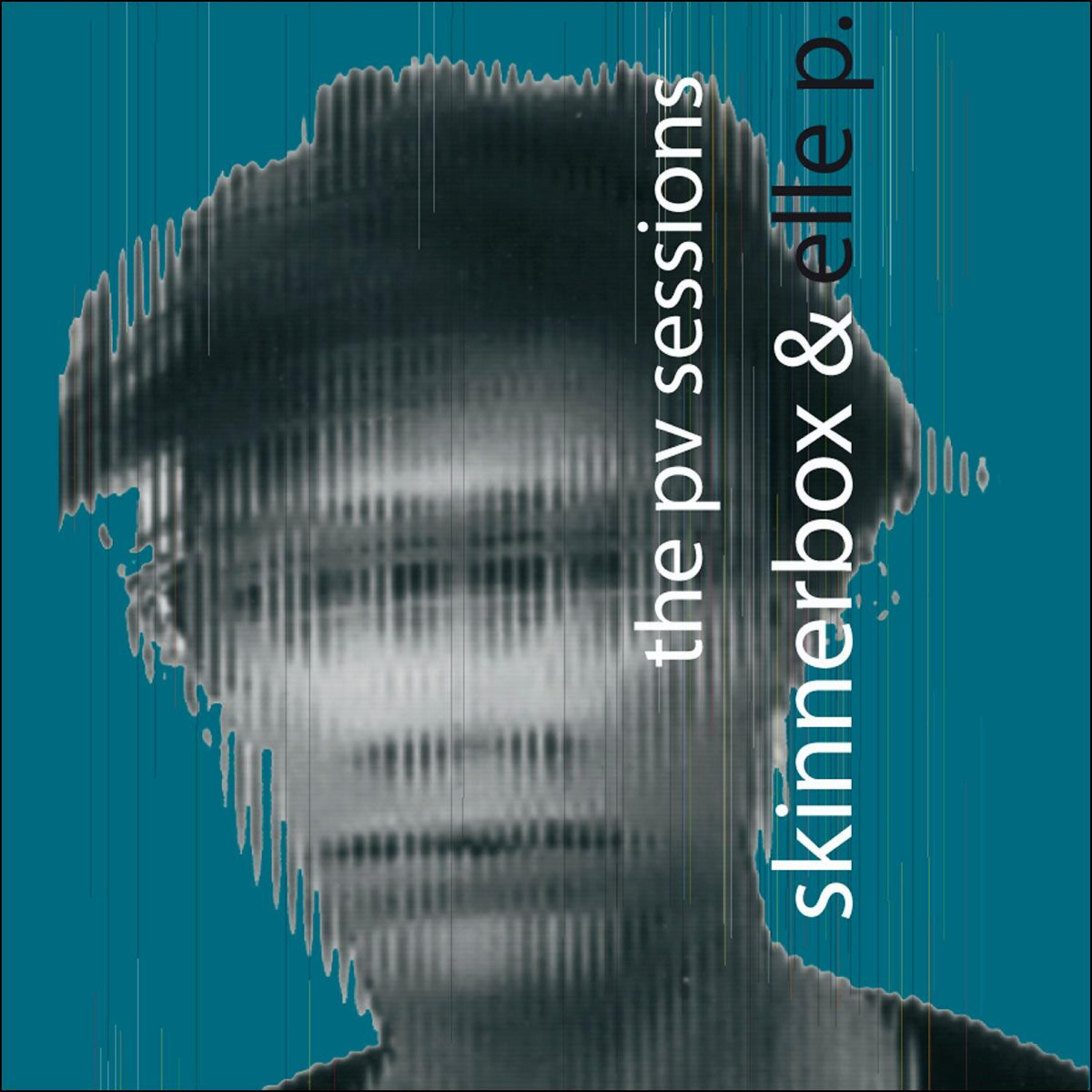 Skinnerbox - Anja