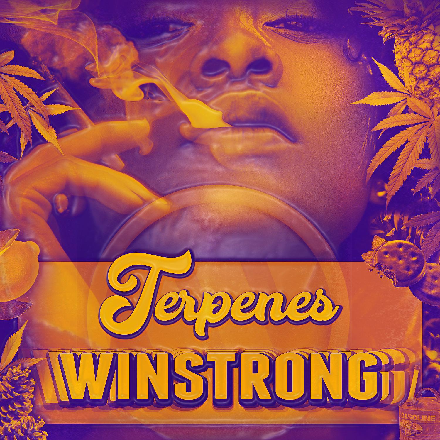 Постер альбома Terpenes