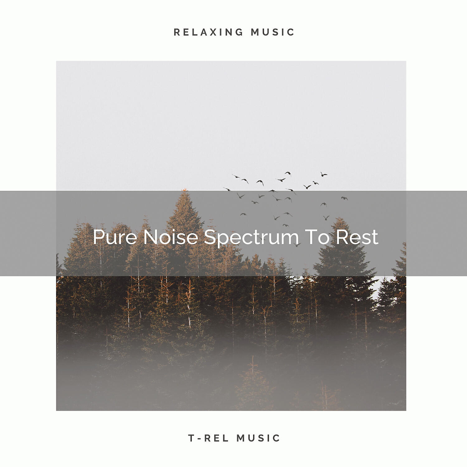 White Noise Sleep Sounds - Blue Noise Spectrum To Rest