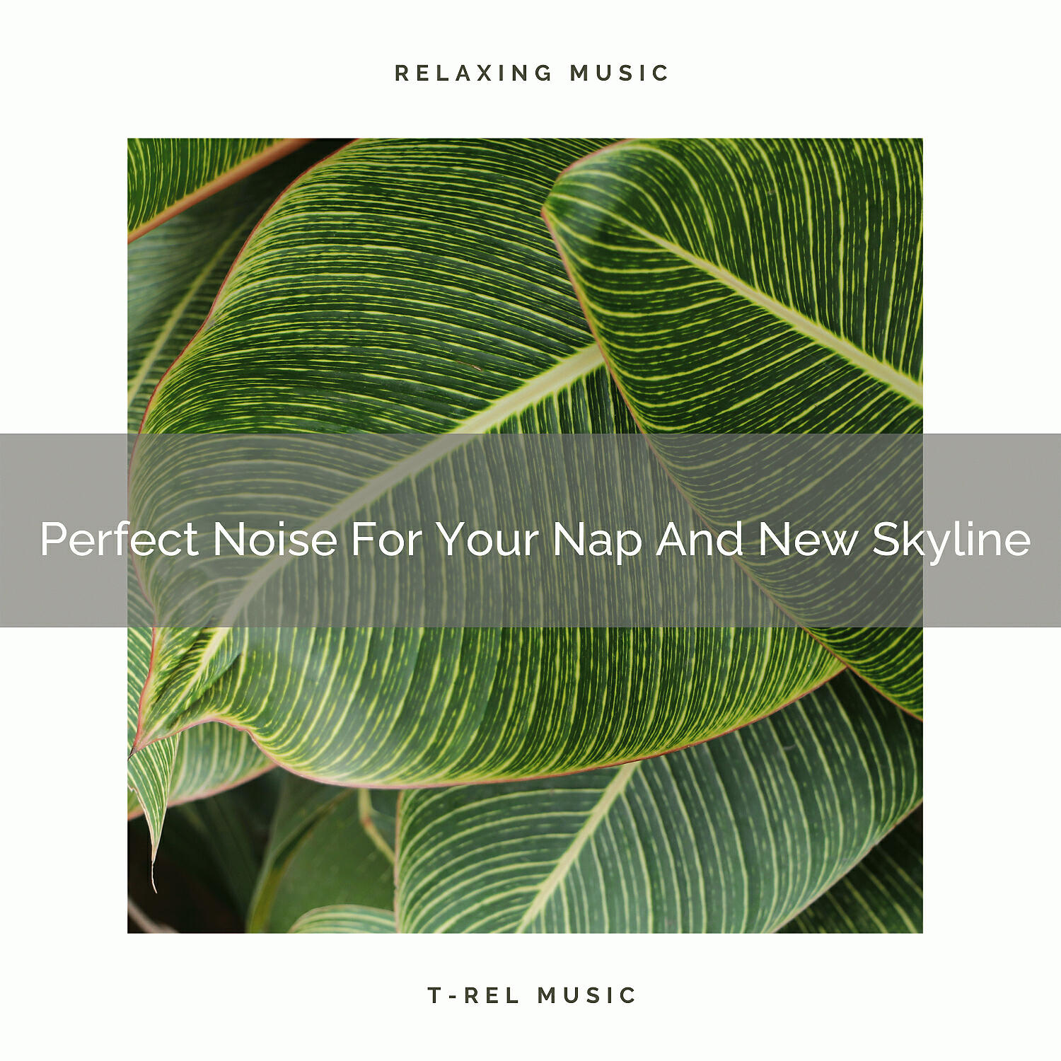 Pure Deep Sleep White Noise - Perfect Noise For Your Nap And Easy Morning