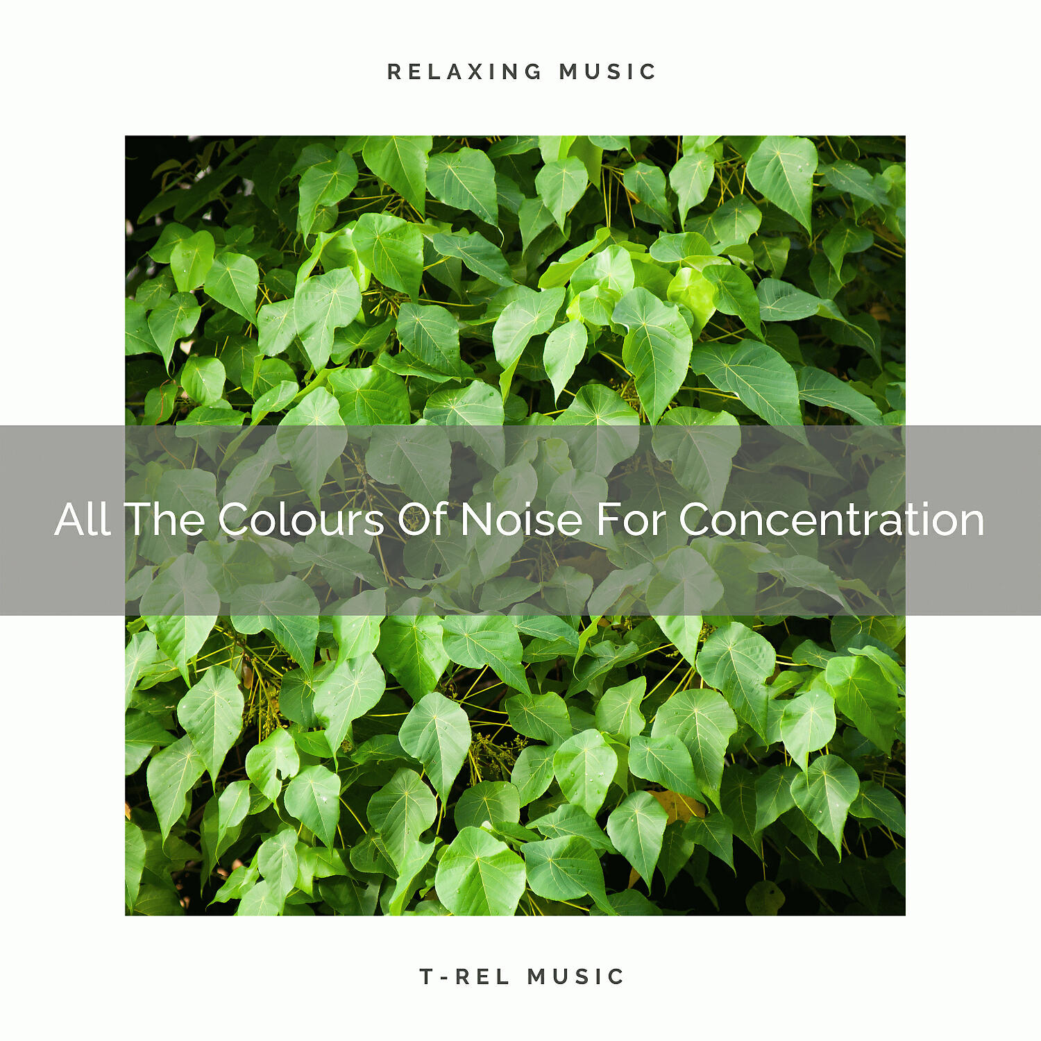 White Noise Hour - All The Colours Of Noise For Concentration