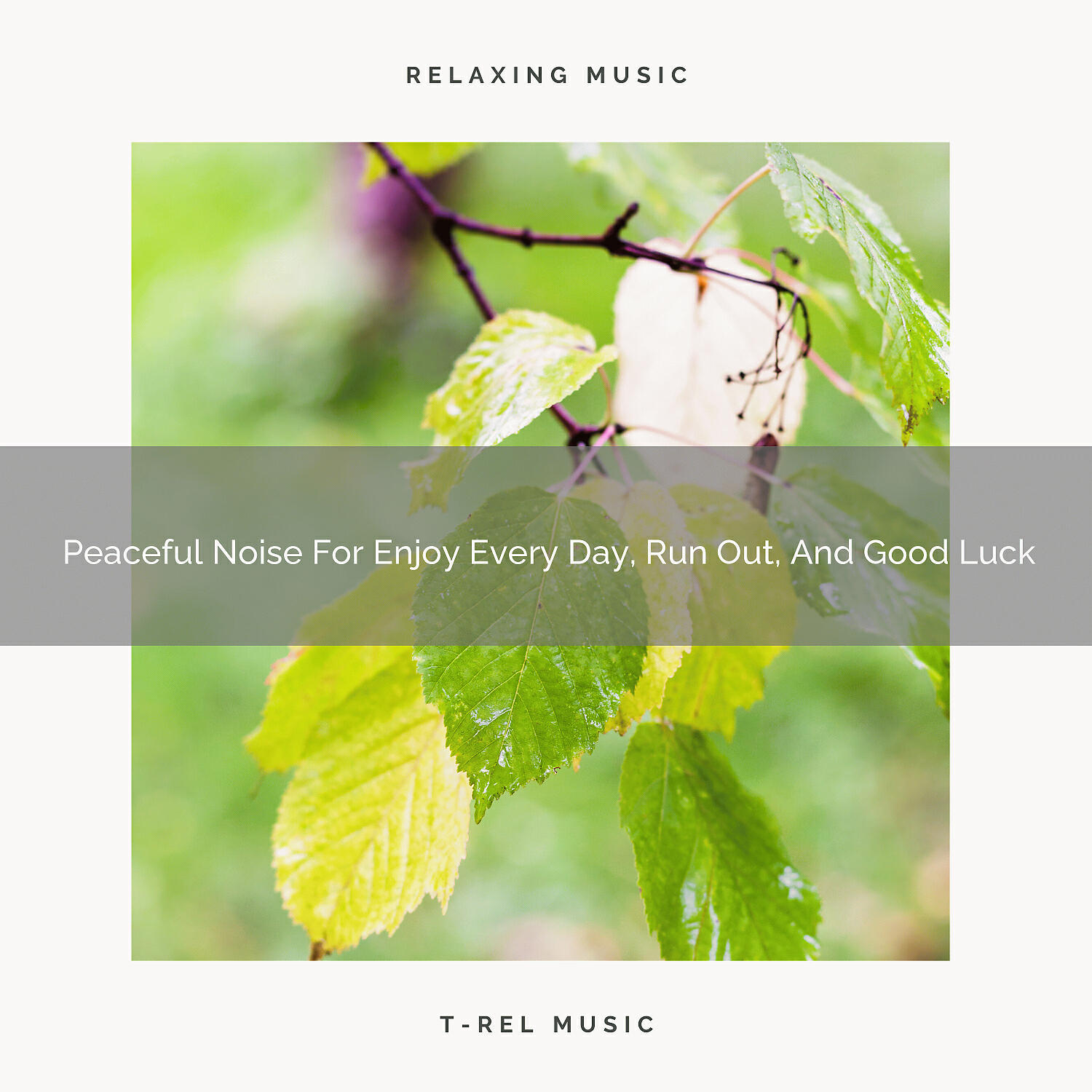 White Noise Nature Sounds Baby Sleep - Sleepy Noise For Happy Mornings, Feel Better, And Good Luck