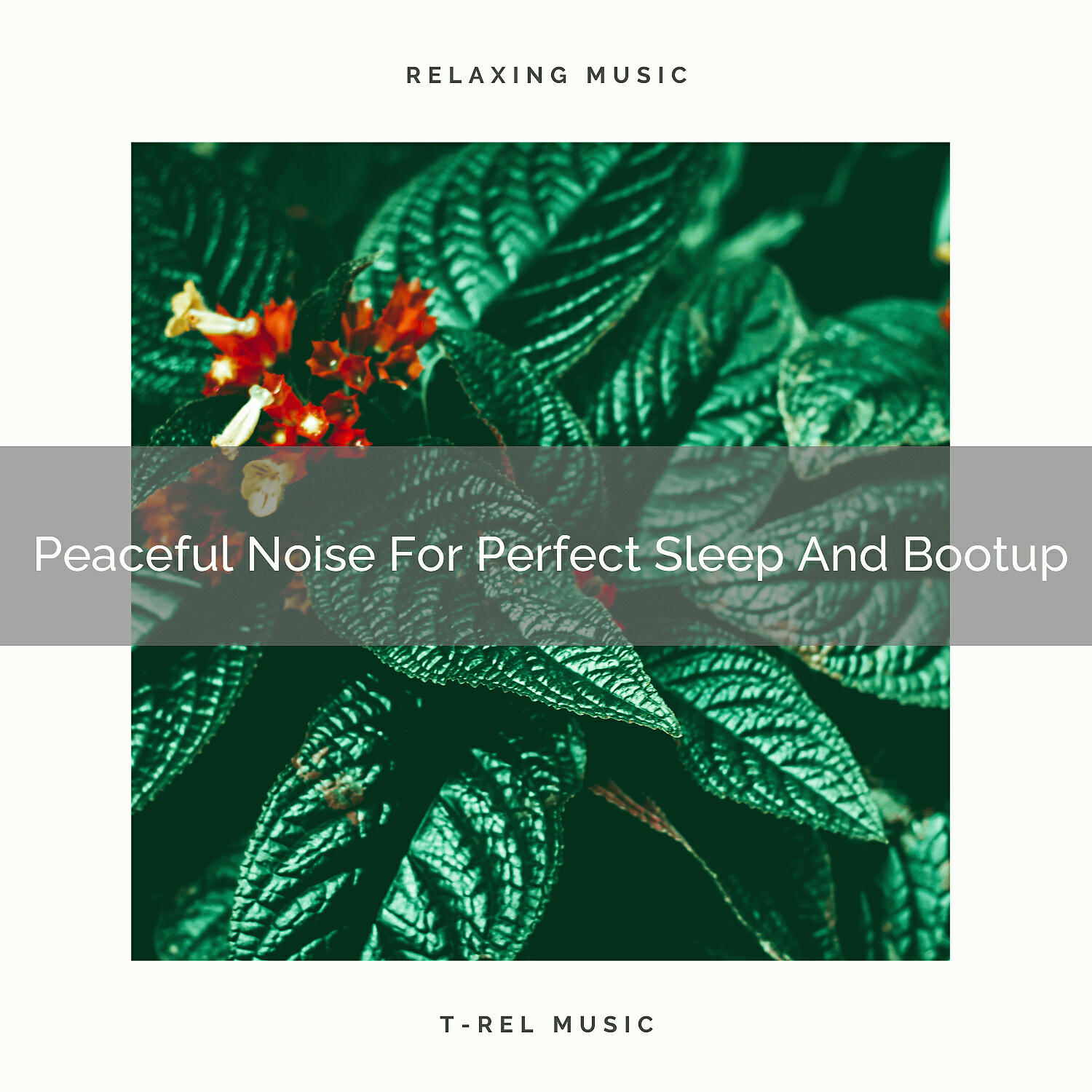 Pure Deep Sleep White Noise - Peaceful Noise For Perfect Sleep And Kickstart