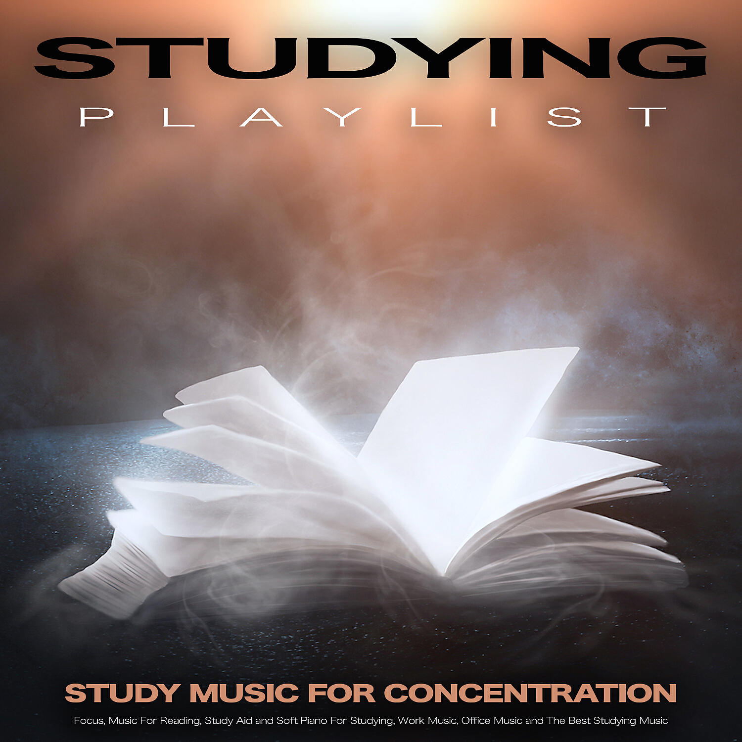 Studying Playlist - Music For Studying