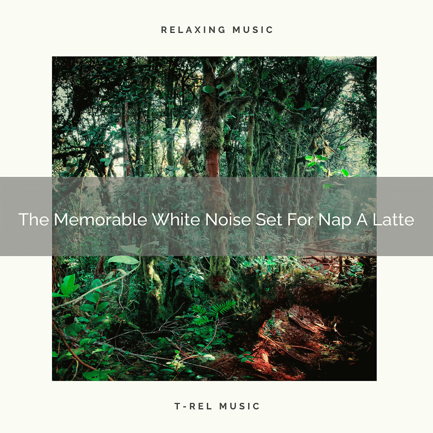 Ambient Nature White Noise - The Memorable White Noise Set For Babies