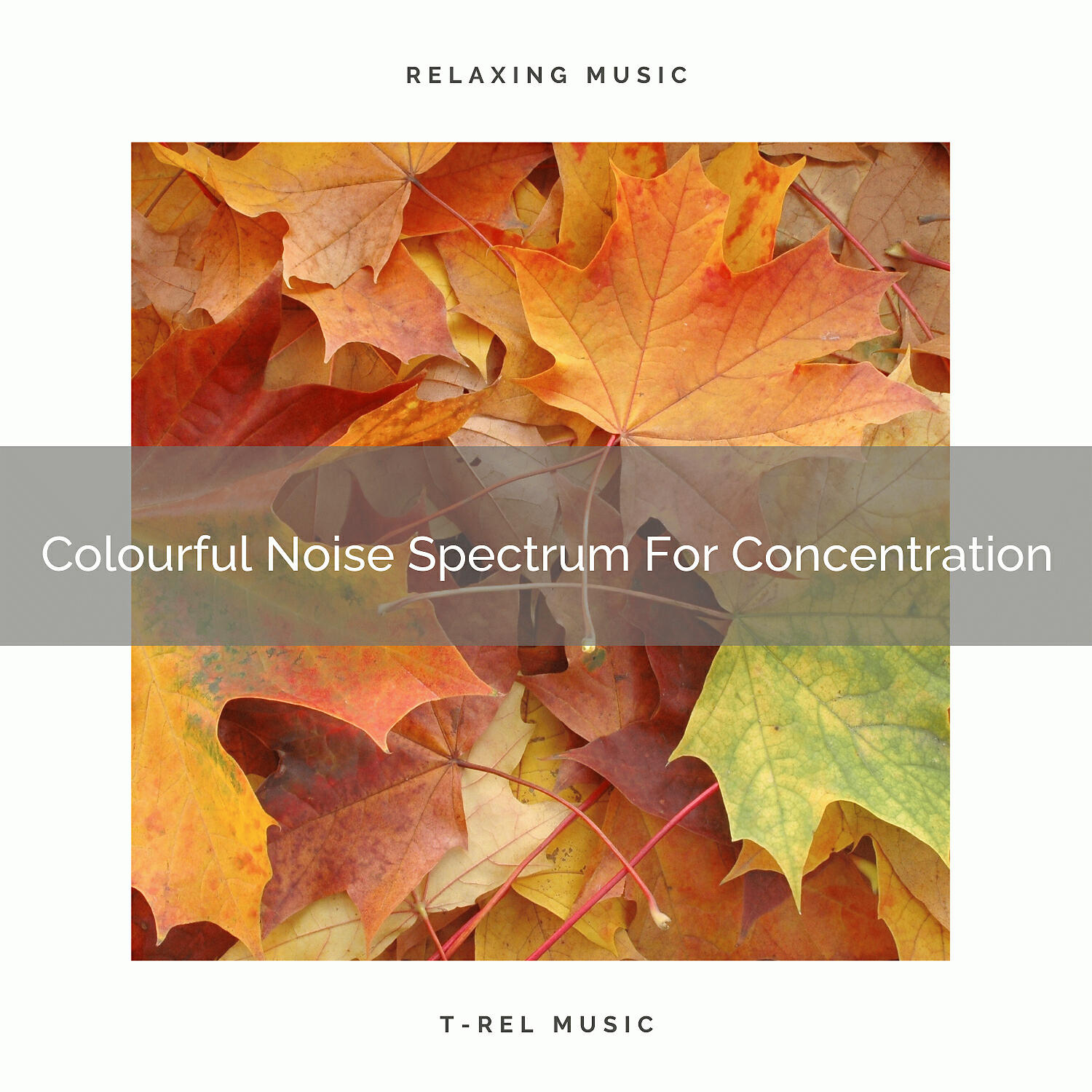 Natural White Noise Relaxation - White Noise Spectrum For Concentration