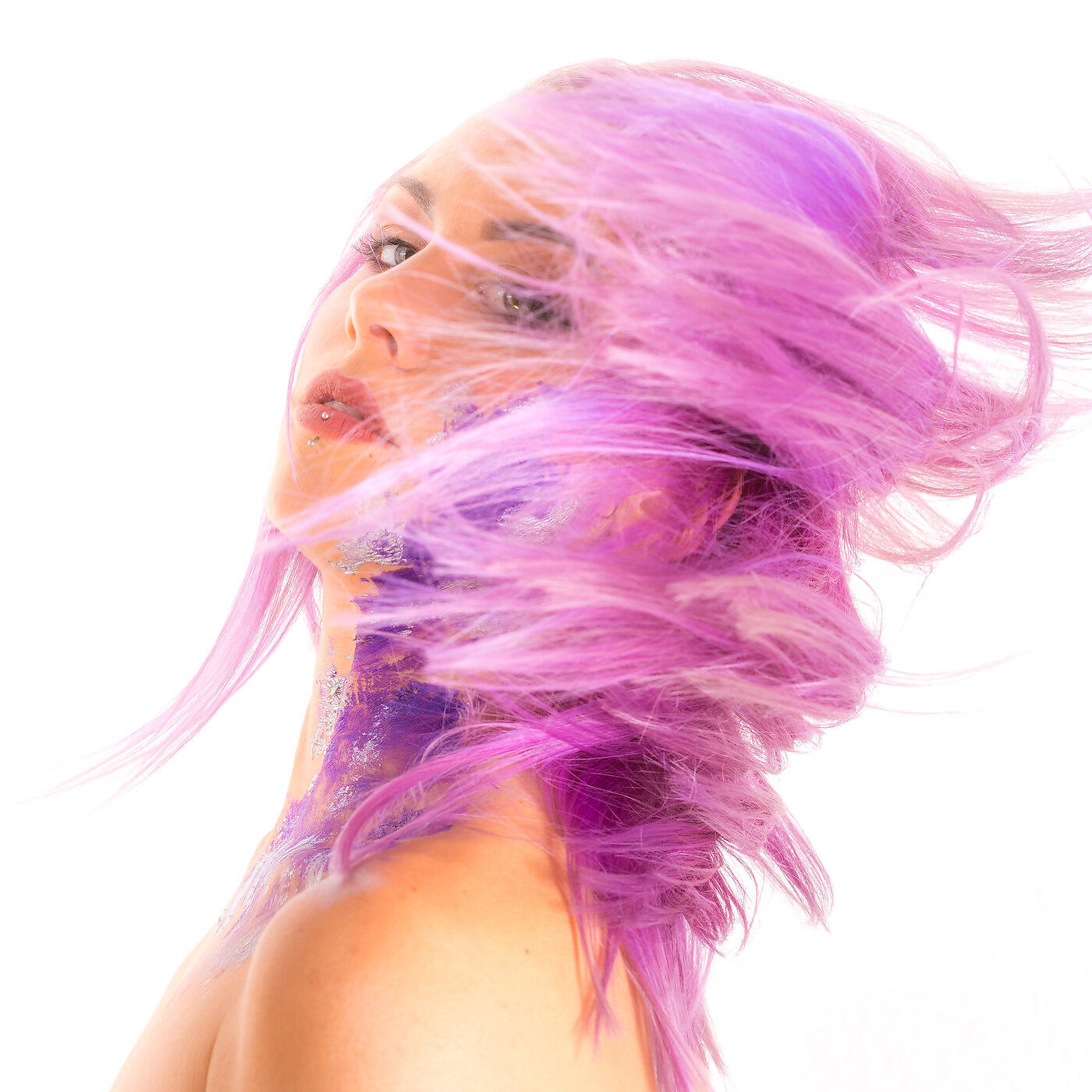 Djt Purple - Pastel Shades