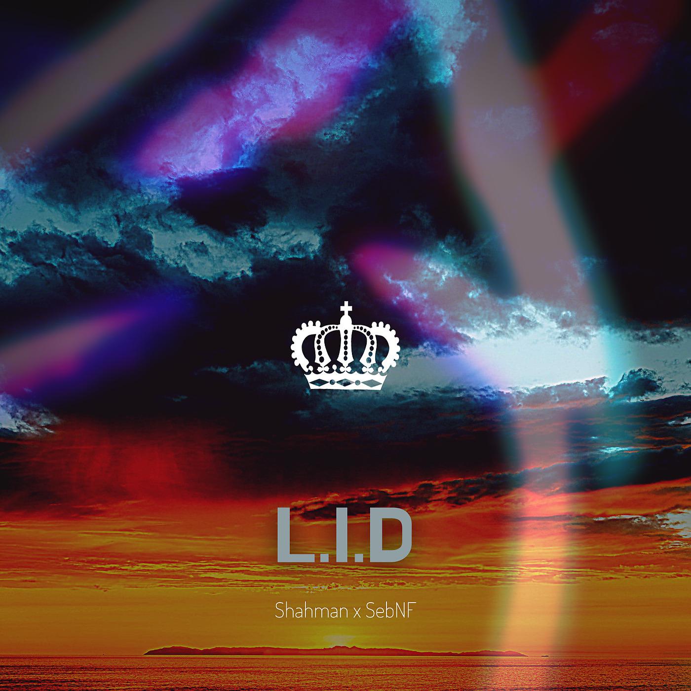 Постер альбома L.I.D