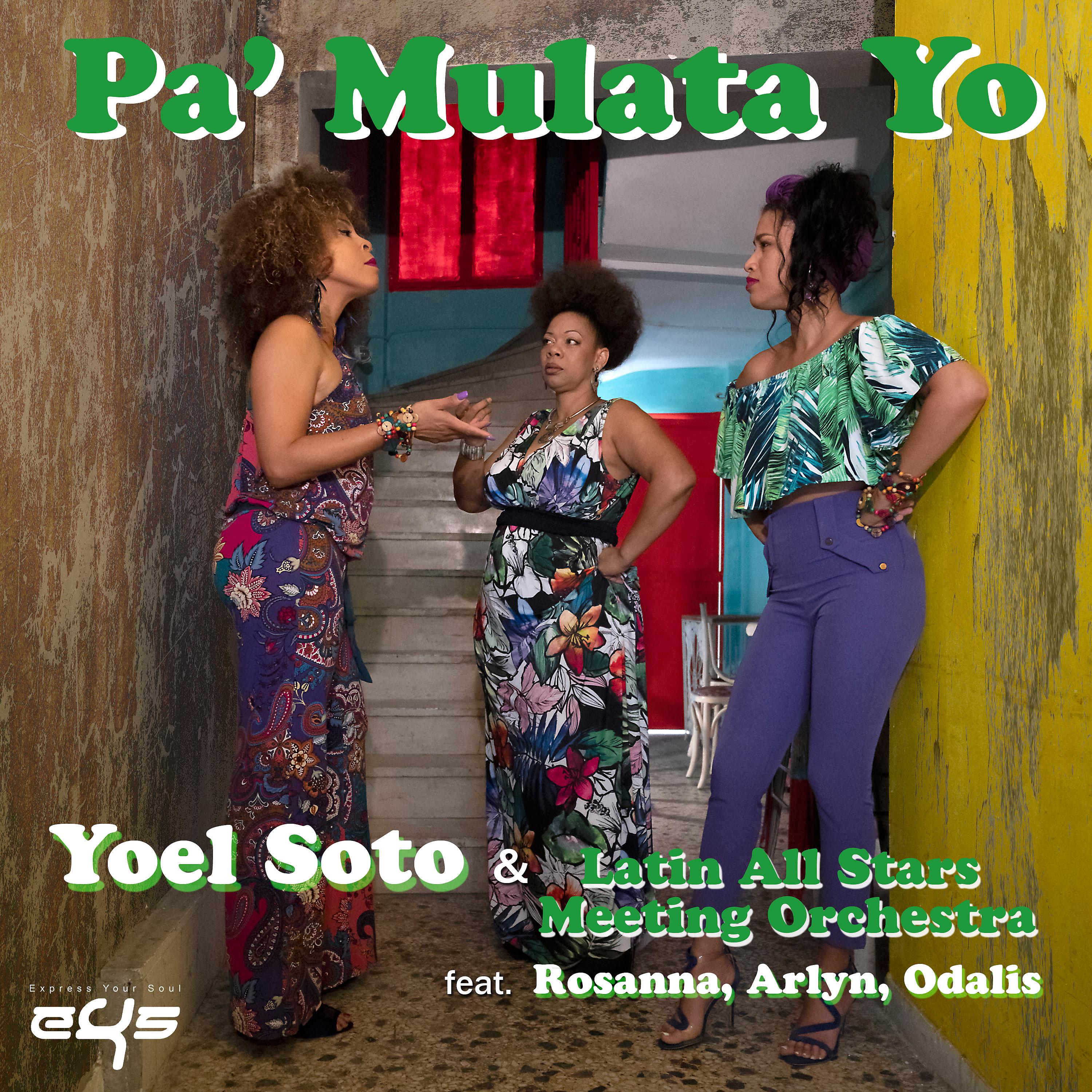 Постер альбома Pa' Mulata Yo
