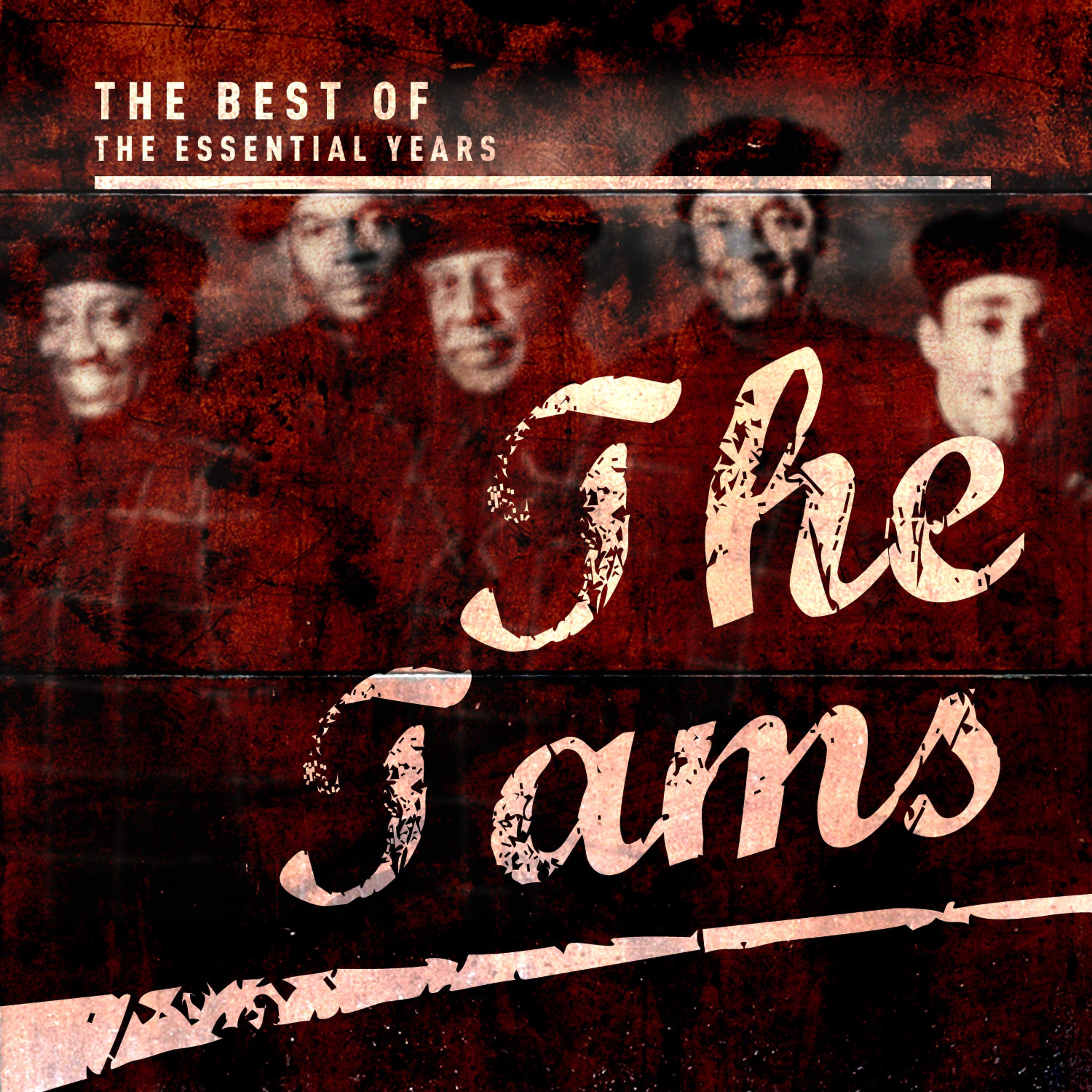 Постер альбома Best of the Essential Years: Tams