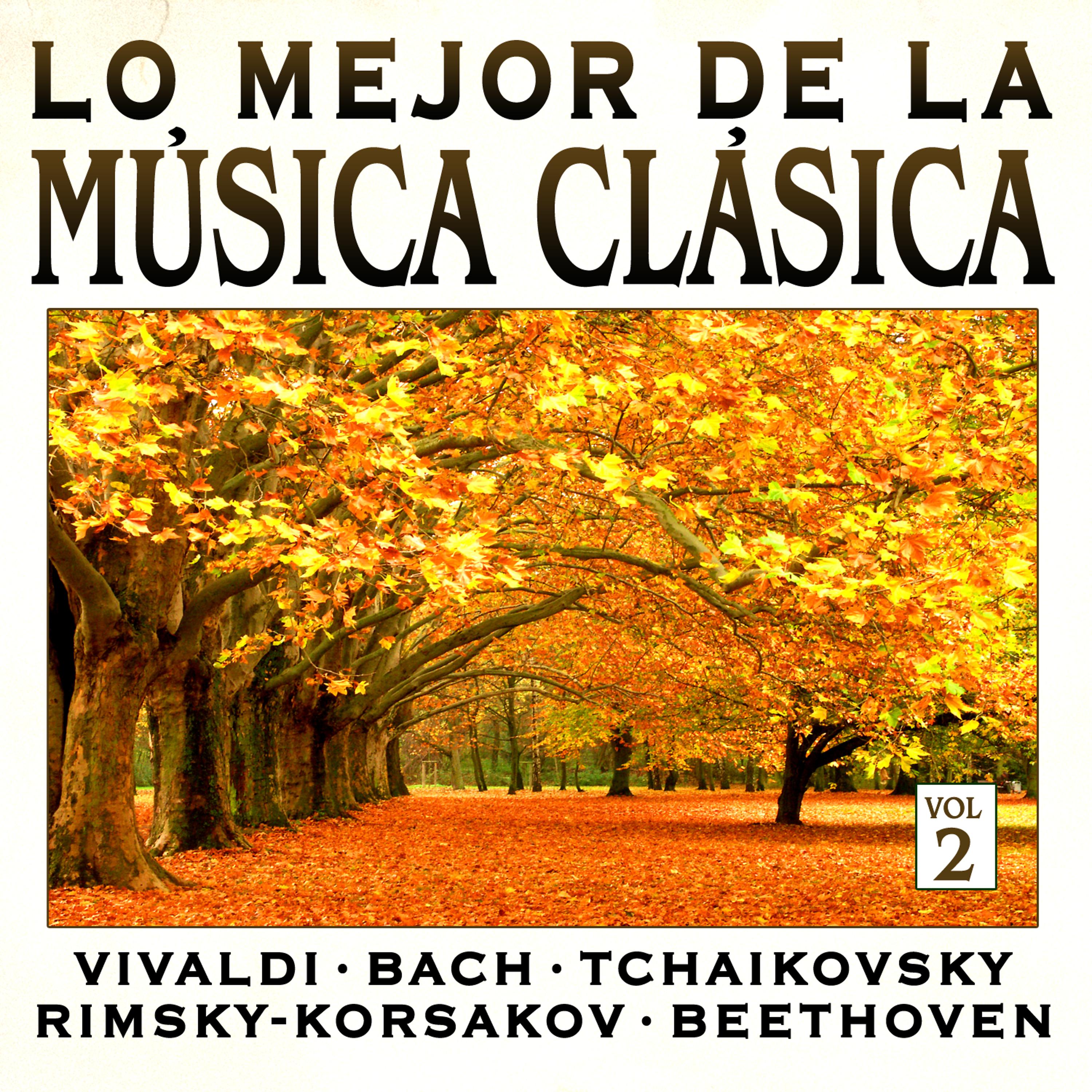 Постер альбома Música Clásica Vol.2