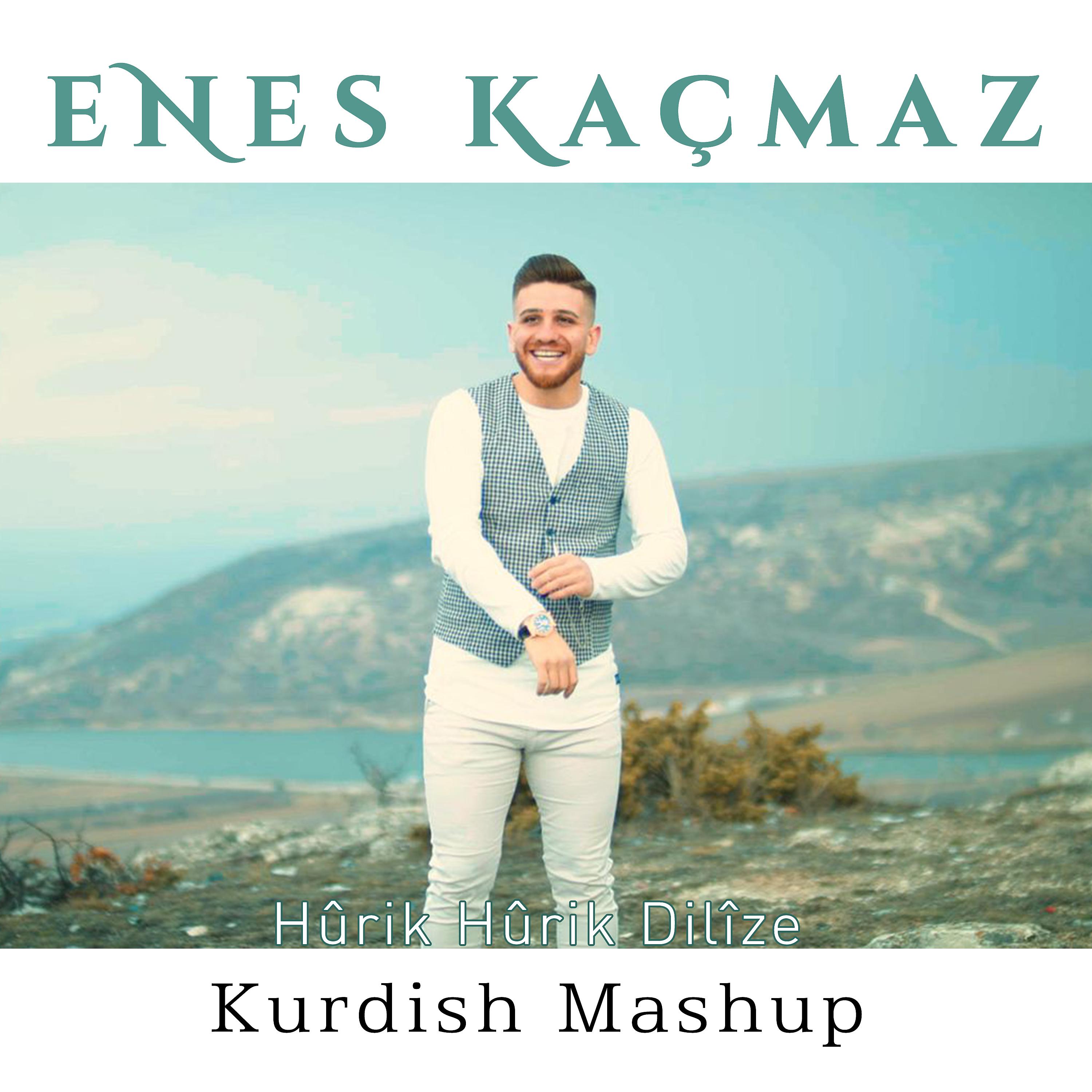 Постер альбома Hûrik Hûrik Dilîzê (Kurdish Mashup)