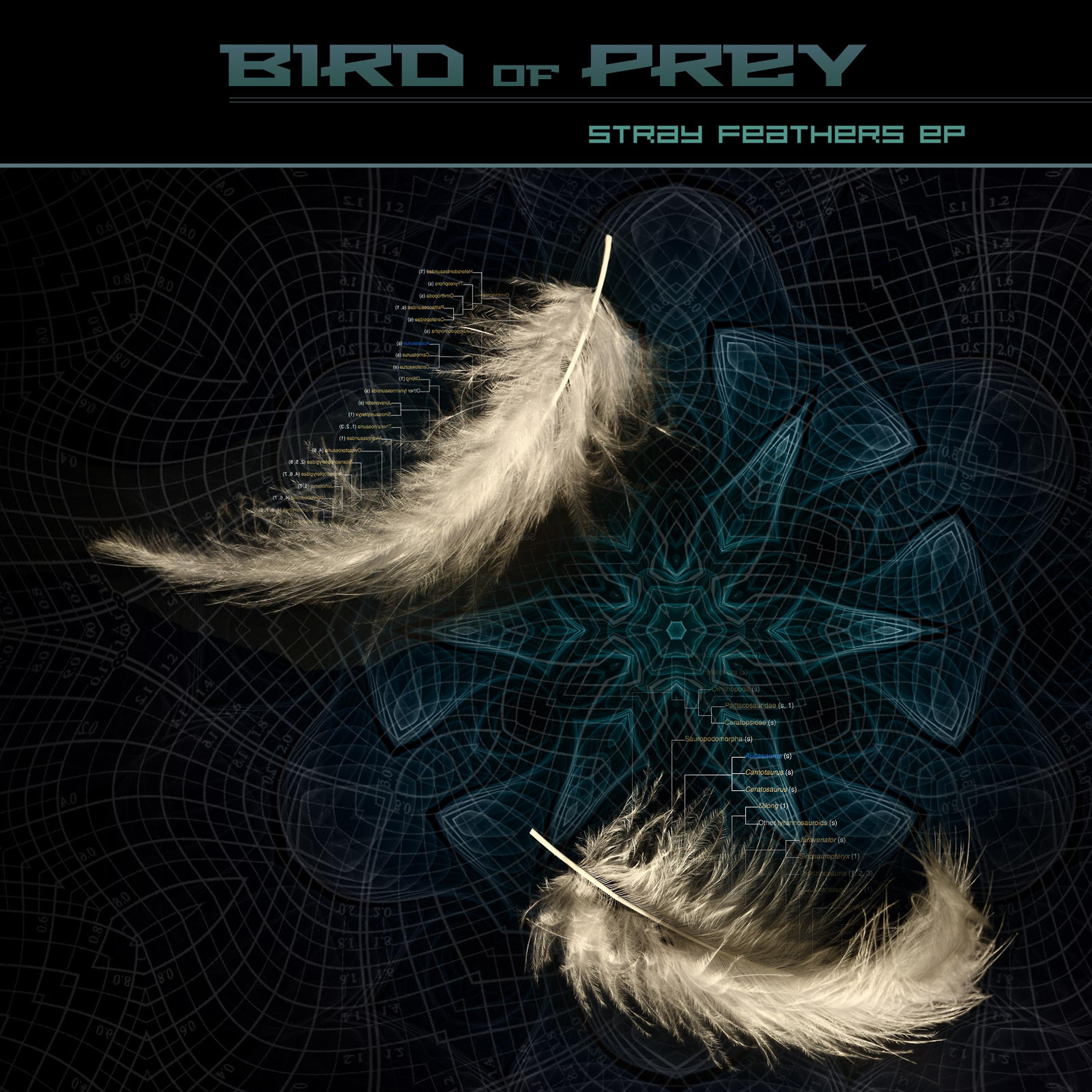 Постер альбома Stray Feathers