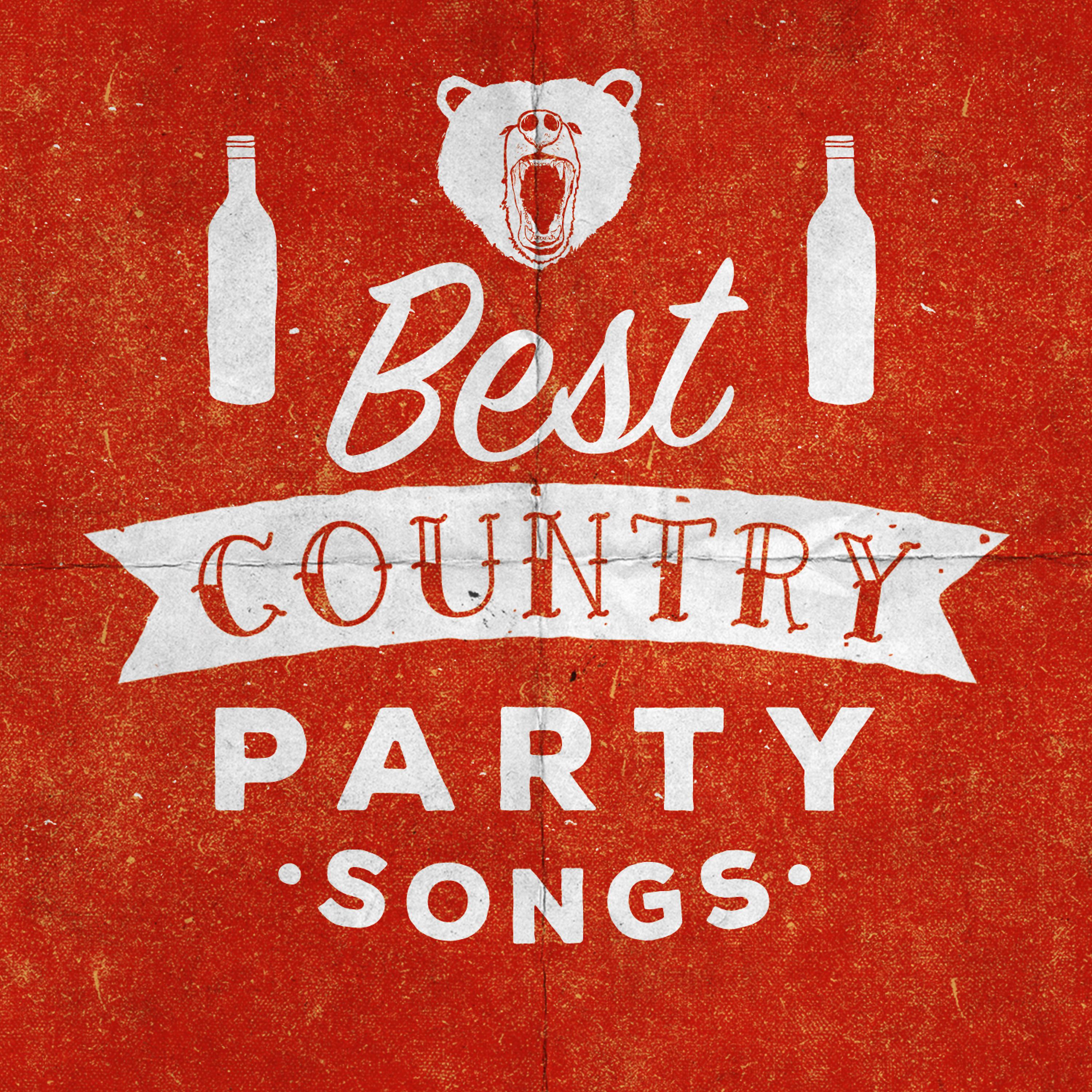 Постер альбома Best Country Party Songs