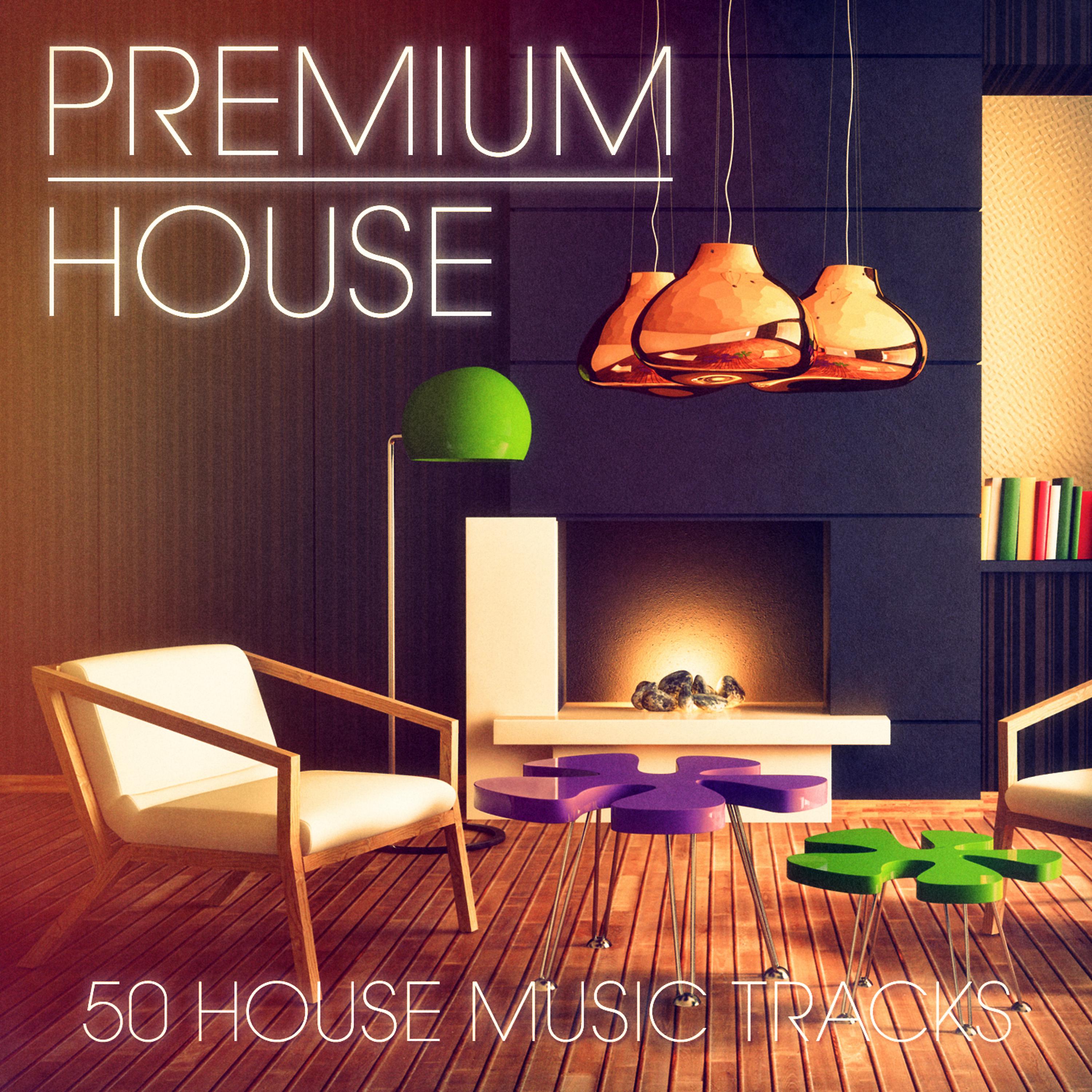 Постер альбома Premium House, Vol. 2 (Sophisticated House and Deep House Music for the Exigent Clubber)