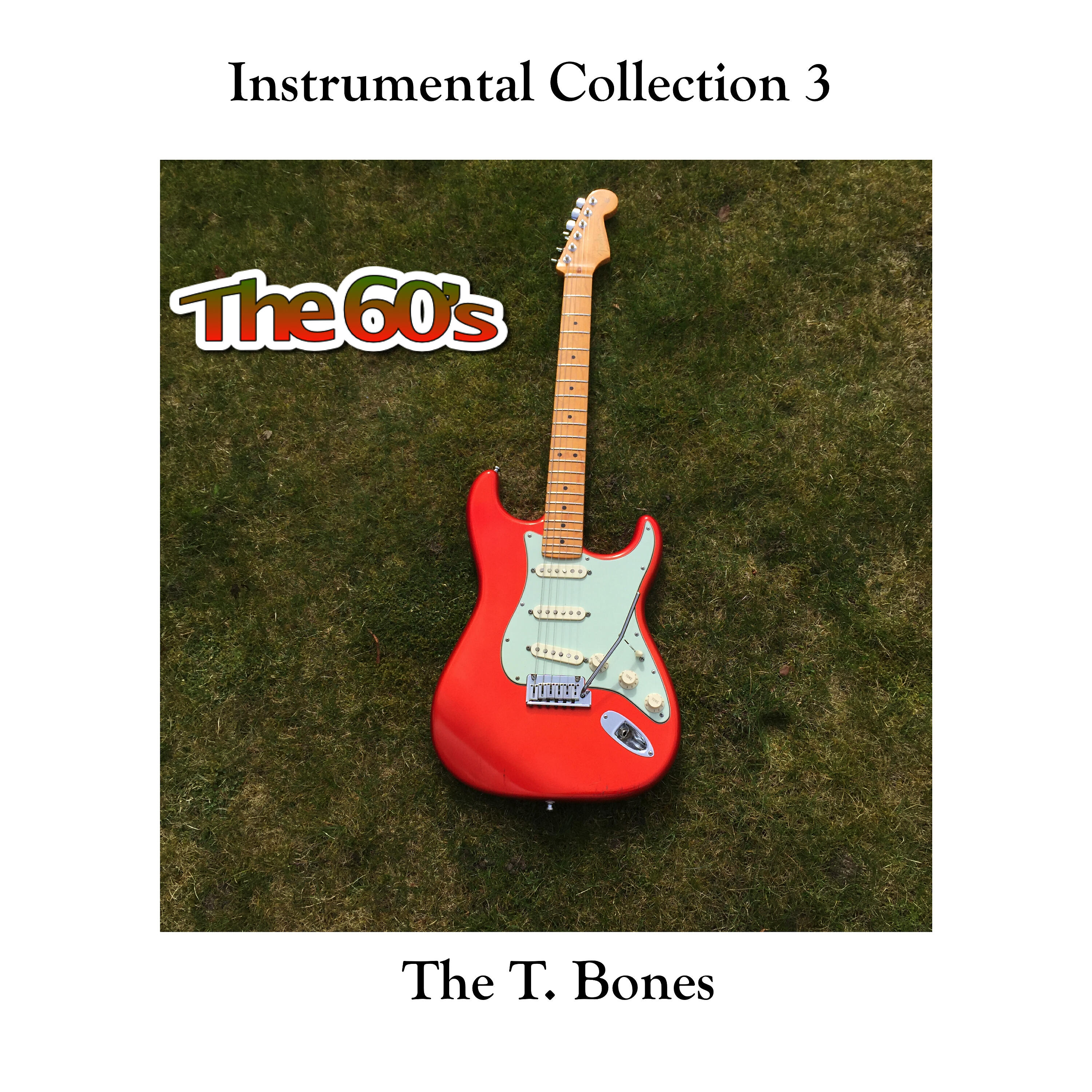 The T. Bones - I'm a Beliver