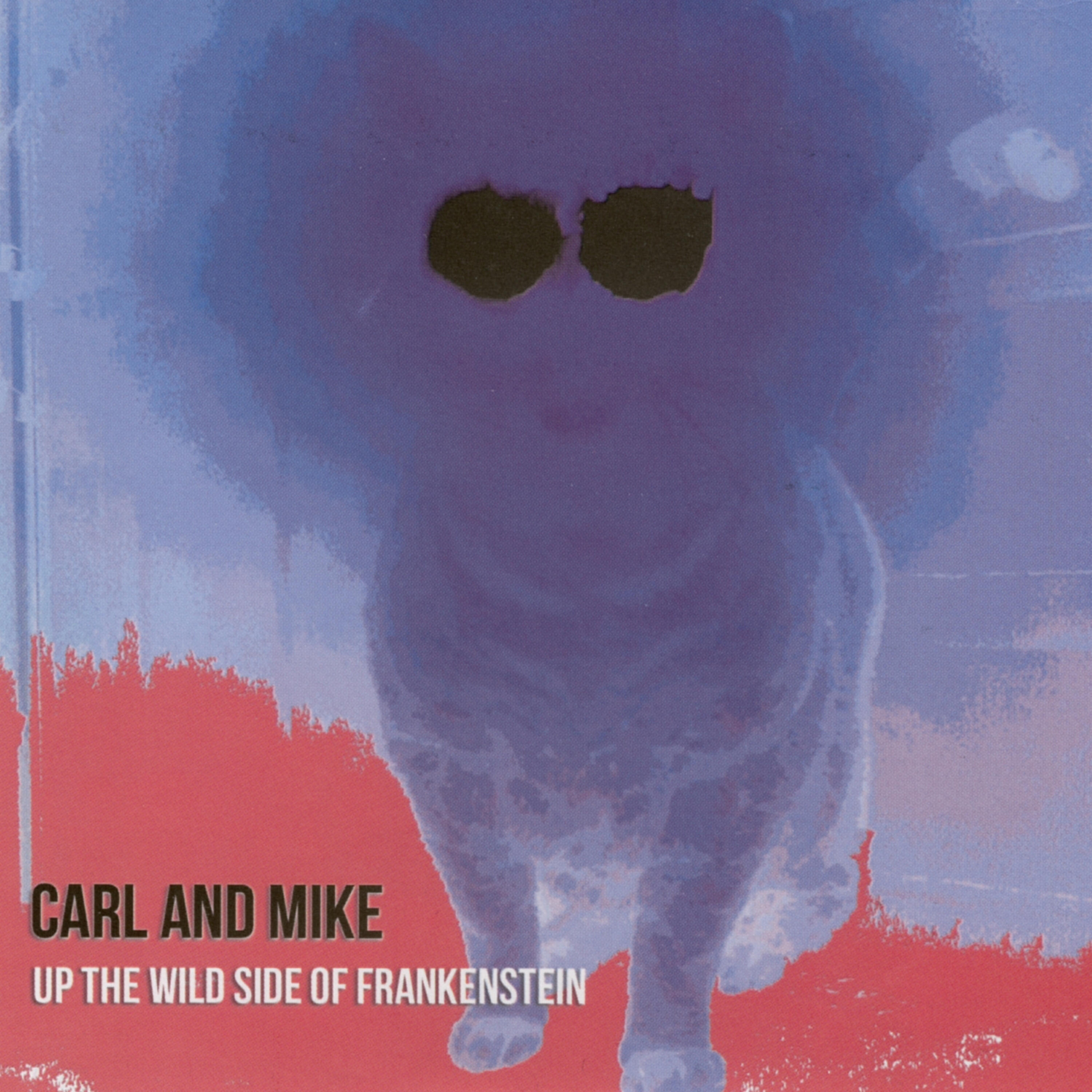 Carl Finch - My Little Red Book