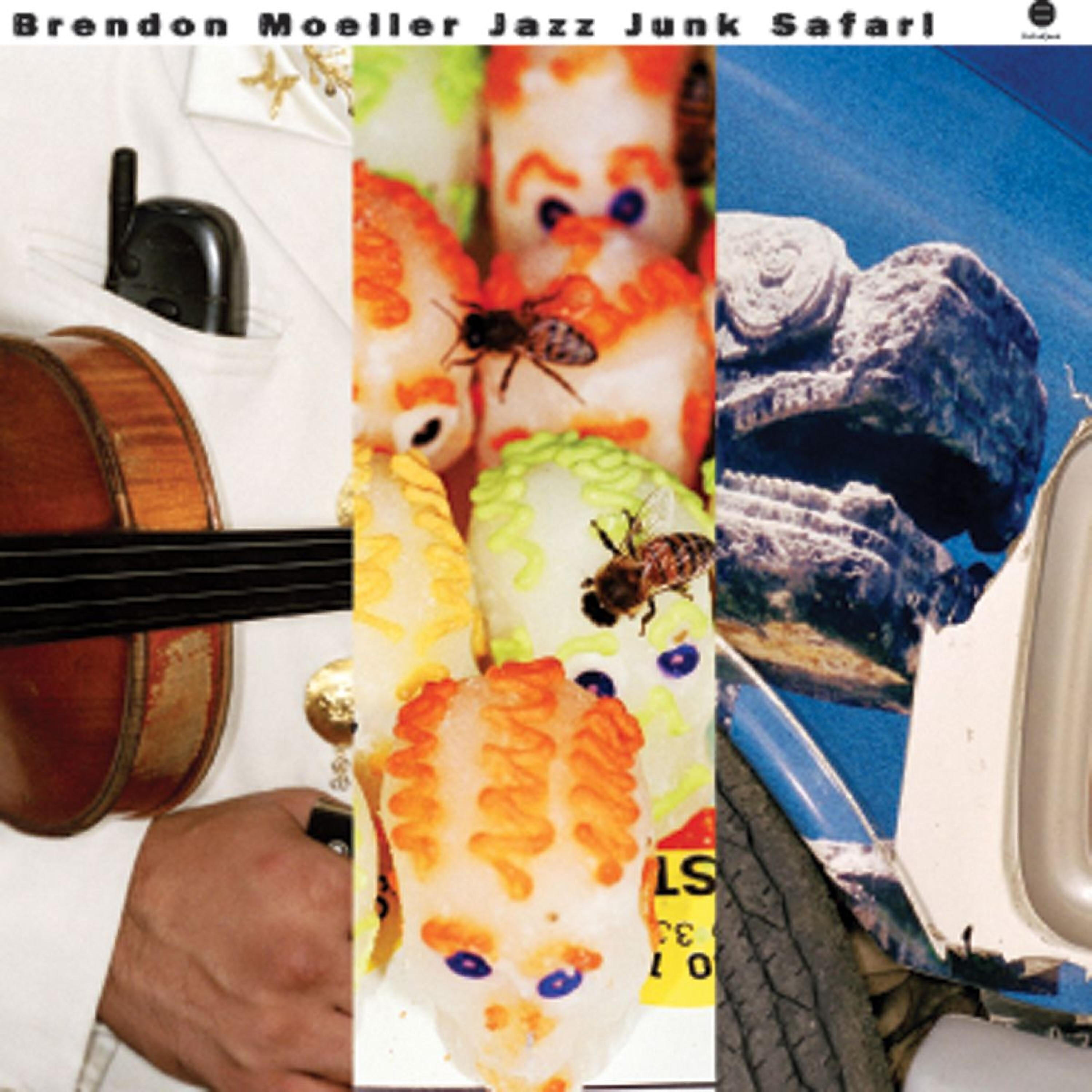 Brendon Moeller - Slight Transition