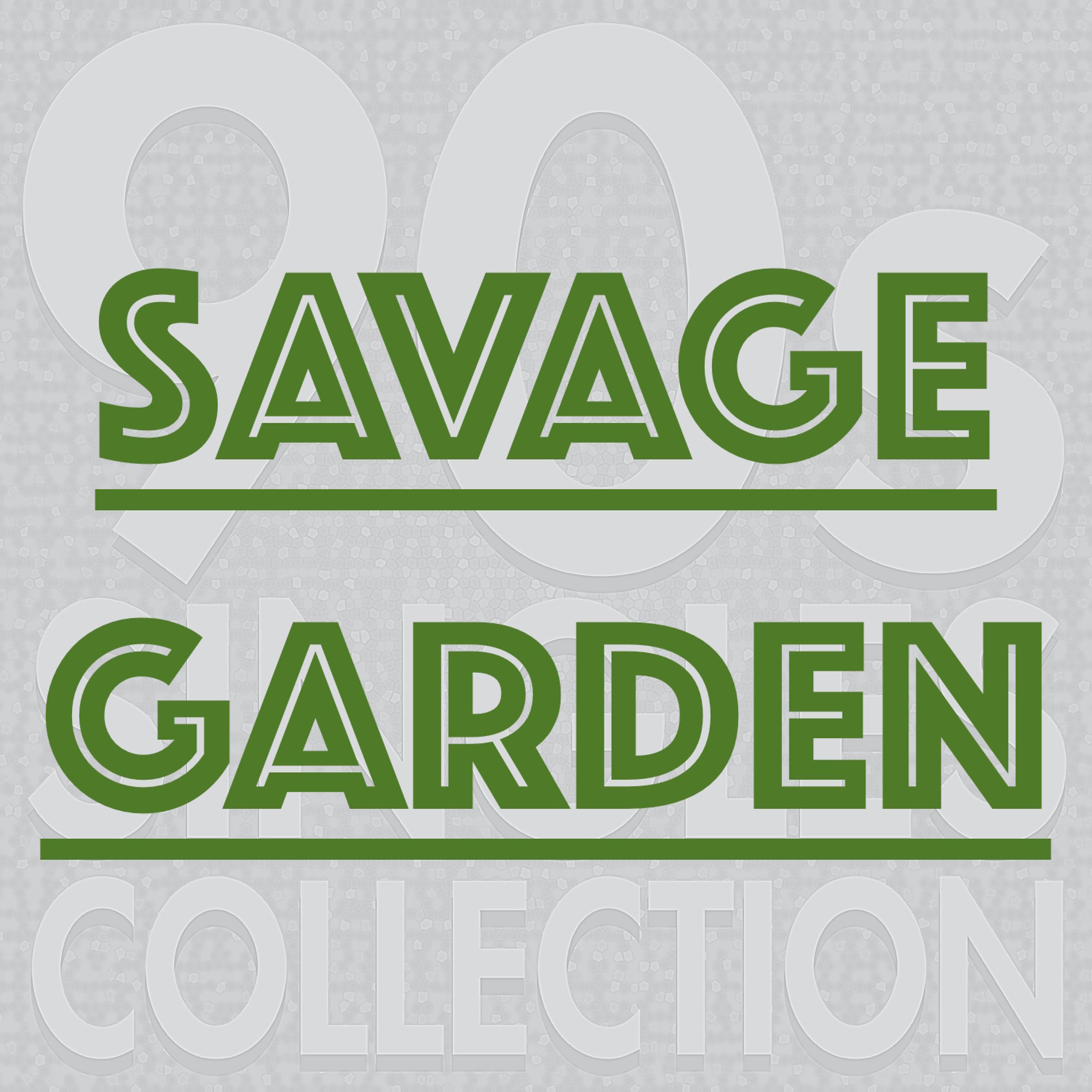 Постер альбома Savage Garden (Heaven)