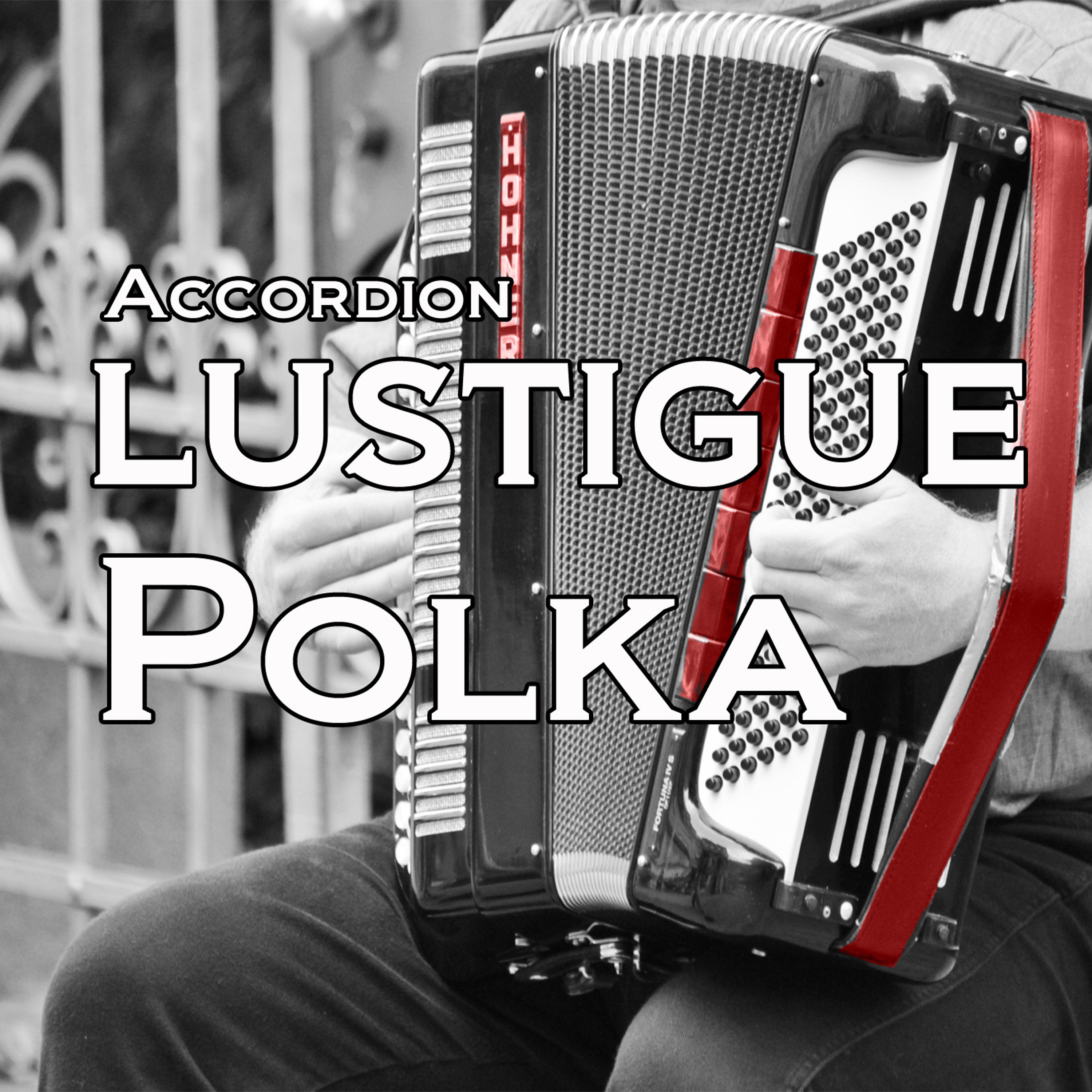 Постер альбома Accordion Lustige Polka, Vol. 4
