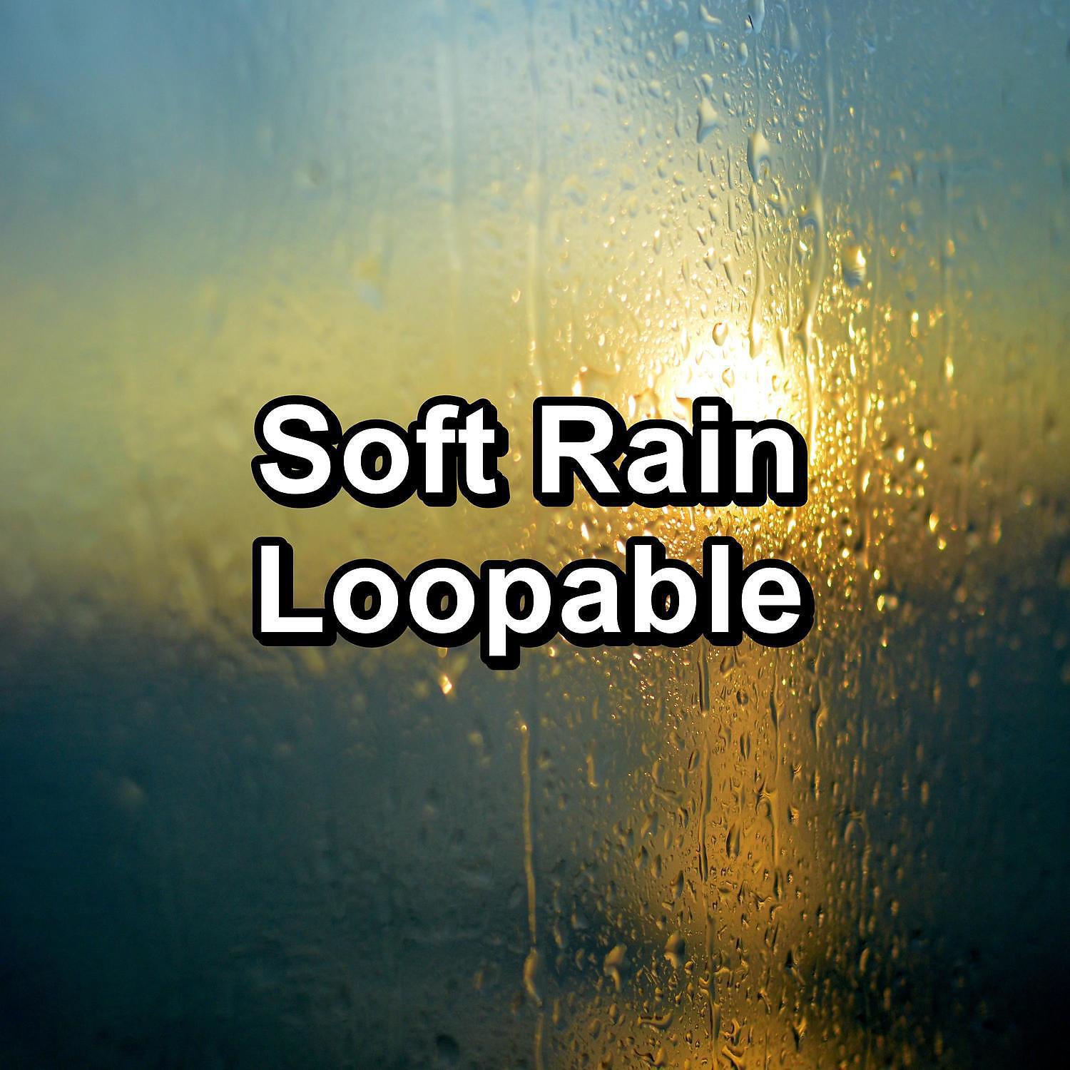 Thunder Storms - Soft Rain in the Rainy Forest Relaxing and Loopable for a 10 Hours Sleep