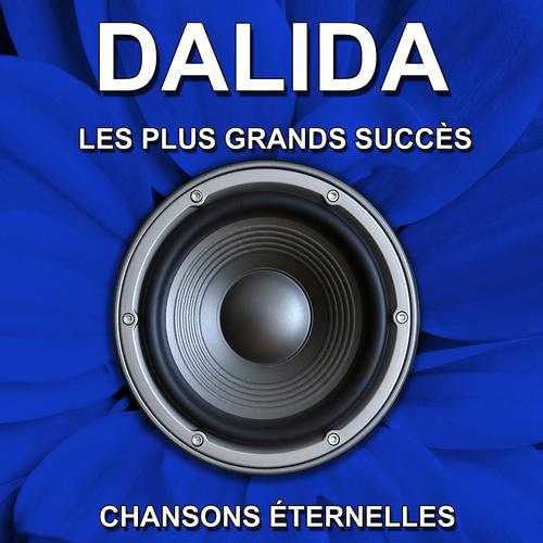 Постер альбома Les plus grands succès (Chansons éternelles)
