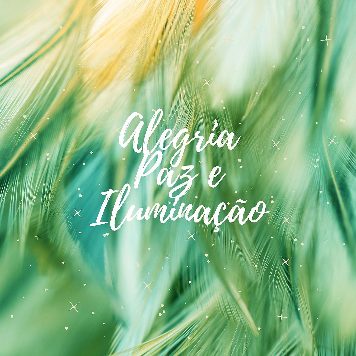 Постер альбома Alegria, Paz e Iluminação