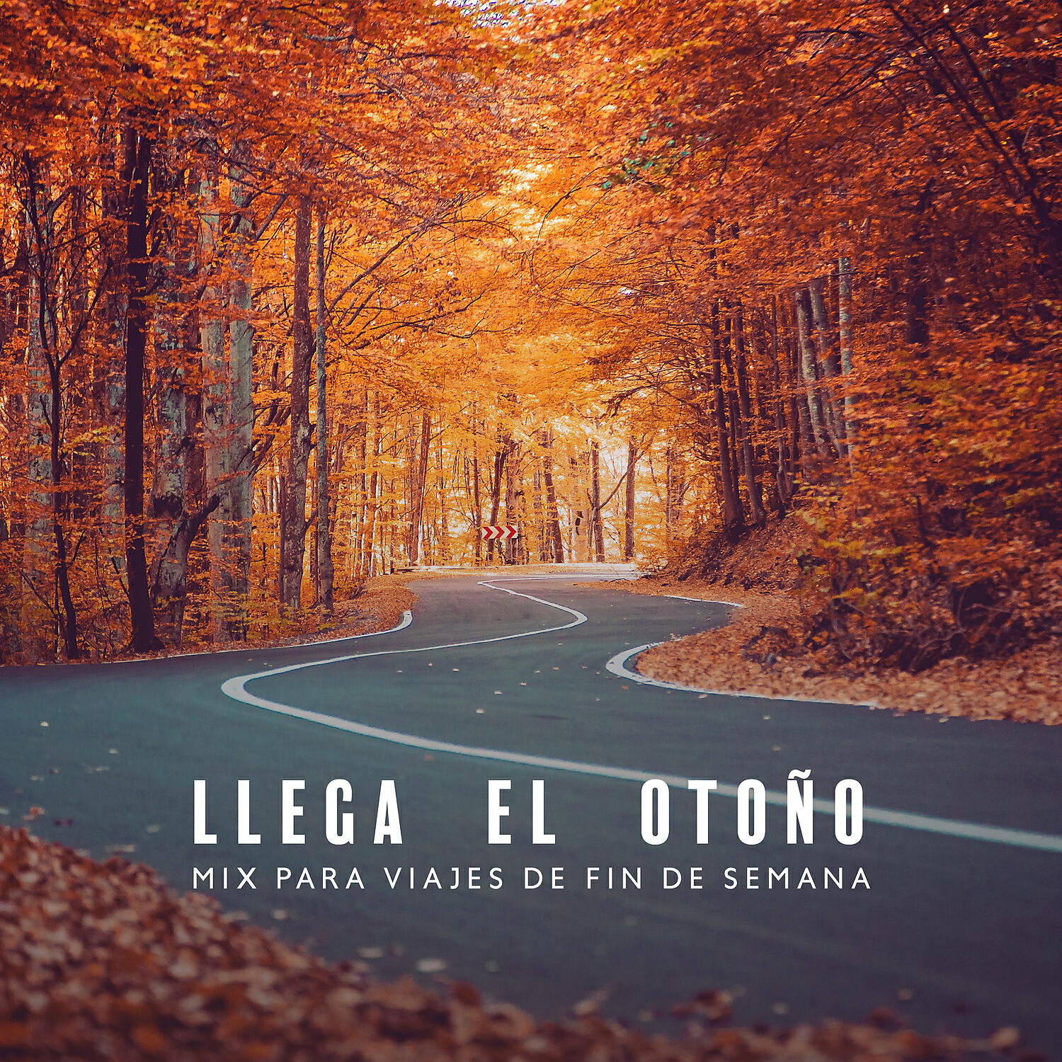 Alejo Djoy - Mi Corazoncito