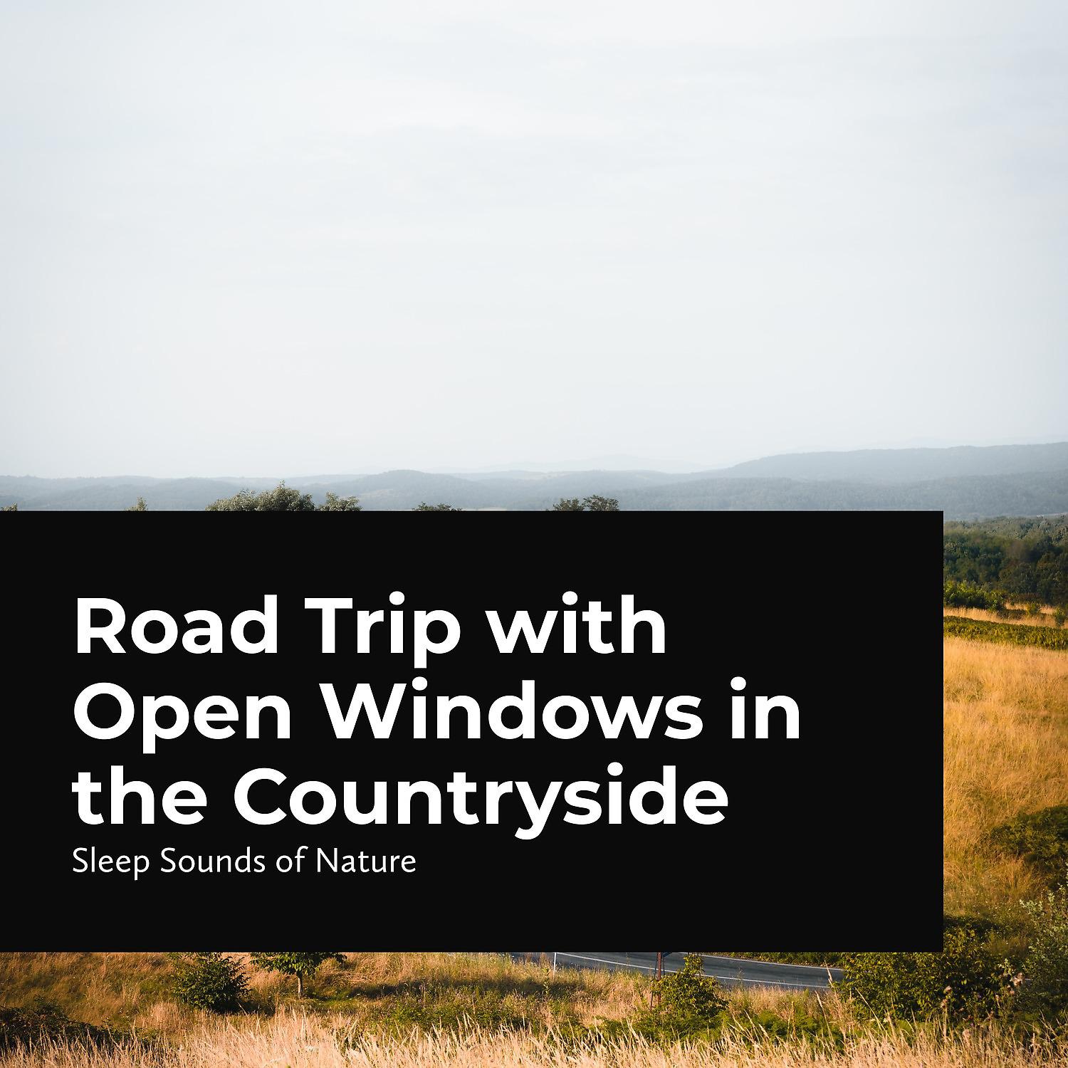 Постер альбома Road Trip with Open Windows in the Countryside