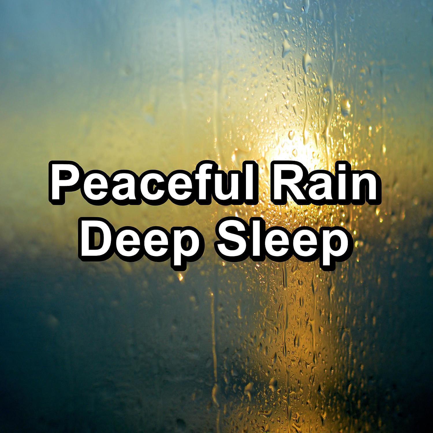 Постер альбома Peaceful Rain Deep Sleep