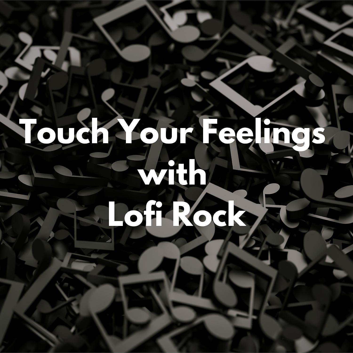 Постер альбома Touch Your Feelings with Lofi Rock