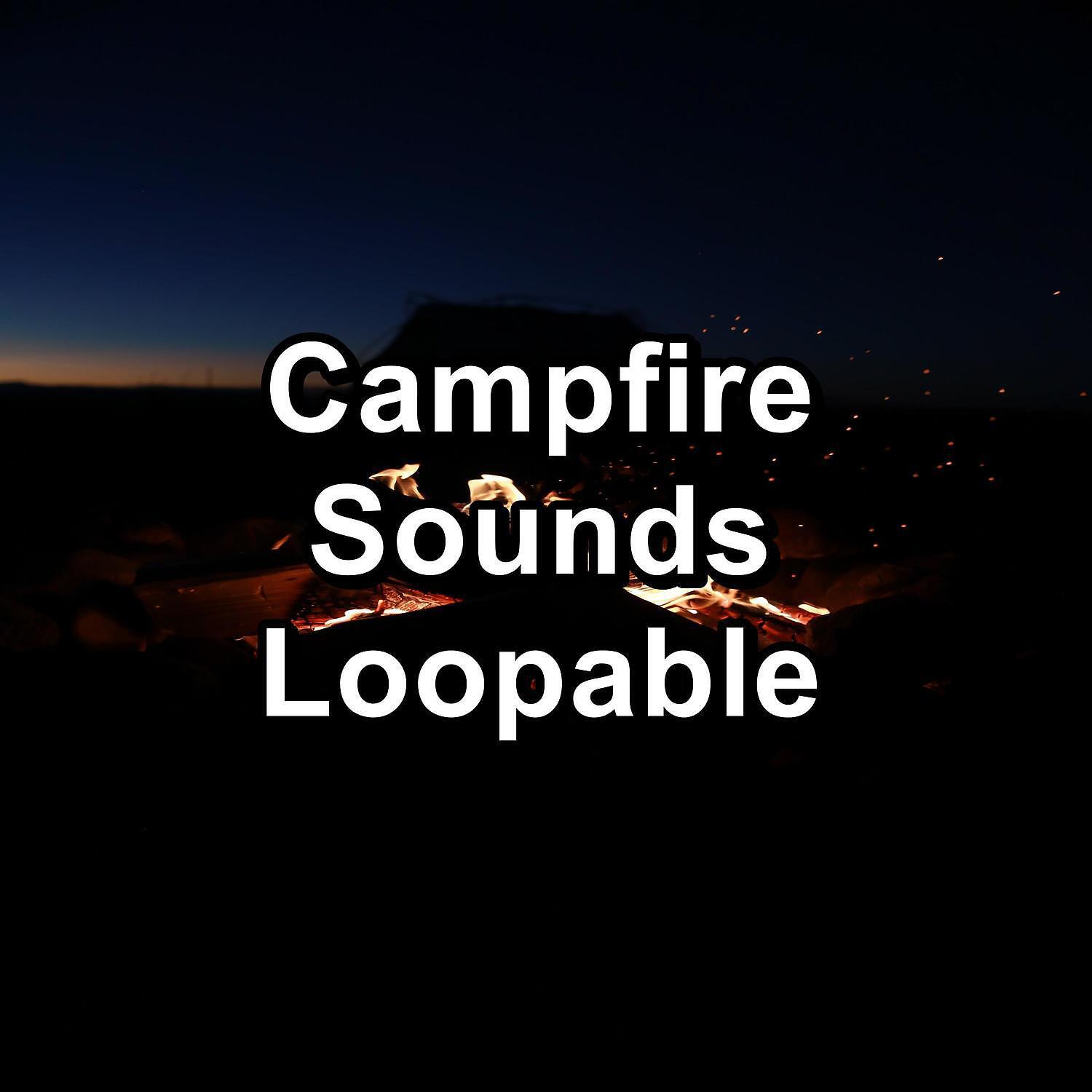 Focusity - Warm Flames Sound