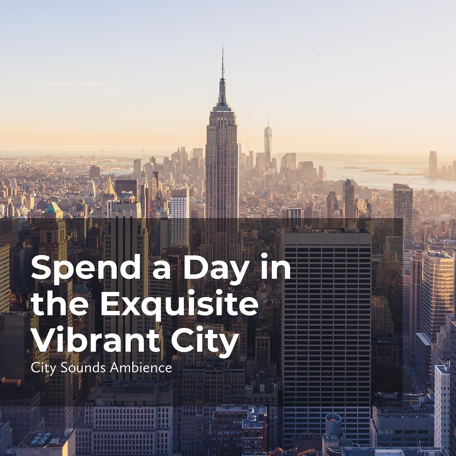 City Sounds Ambience - Distant City Birds