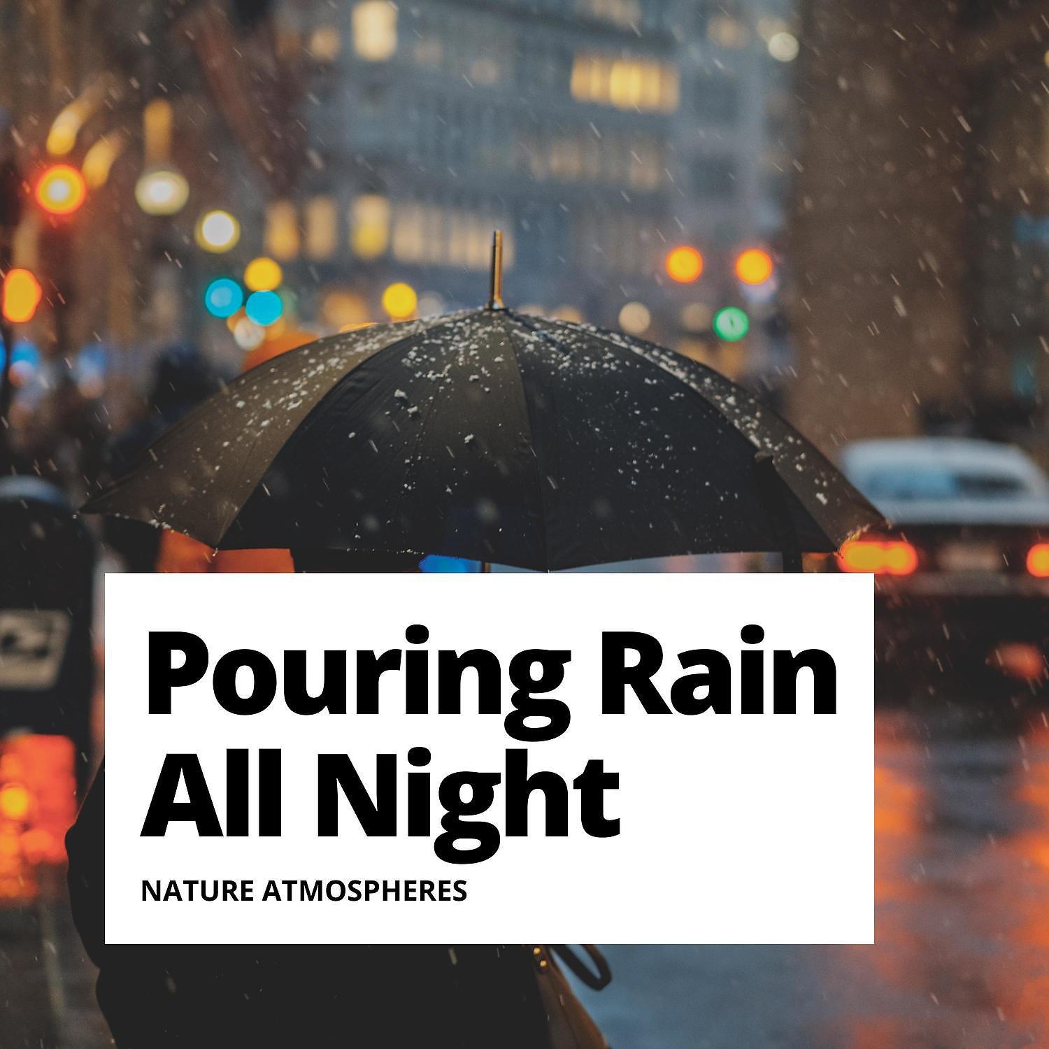 Постер альбома Pouring Rain All Night