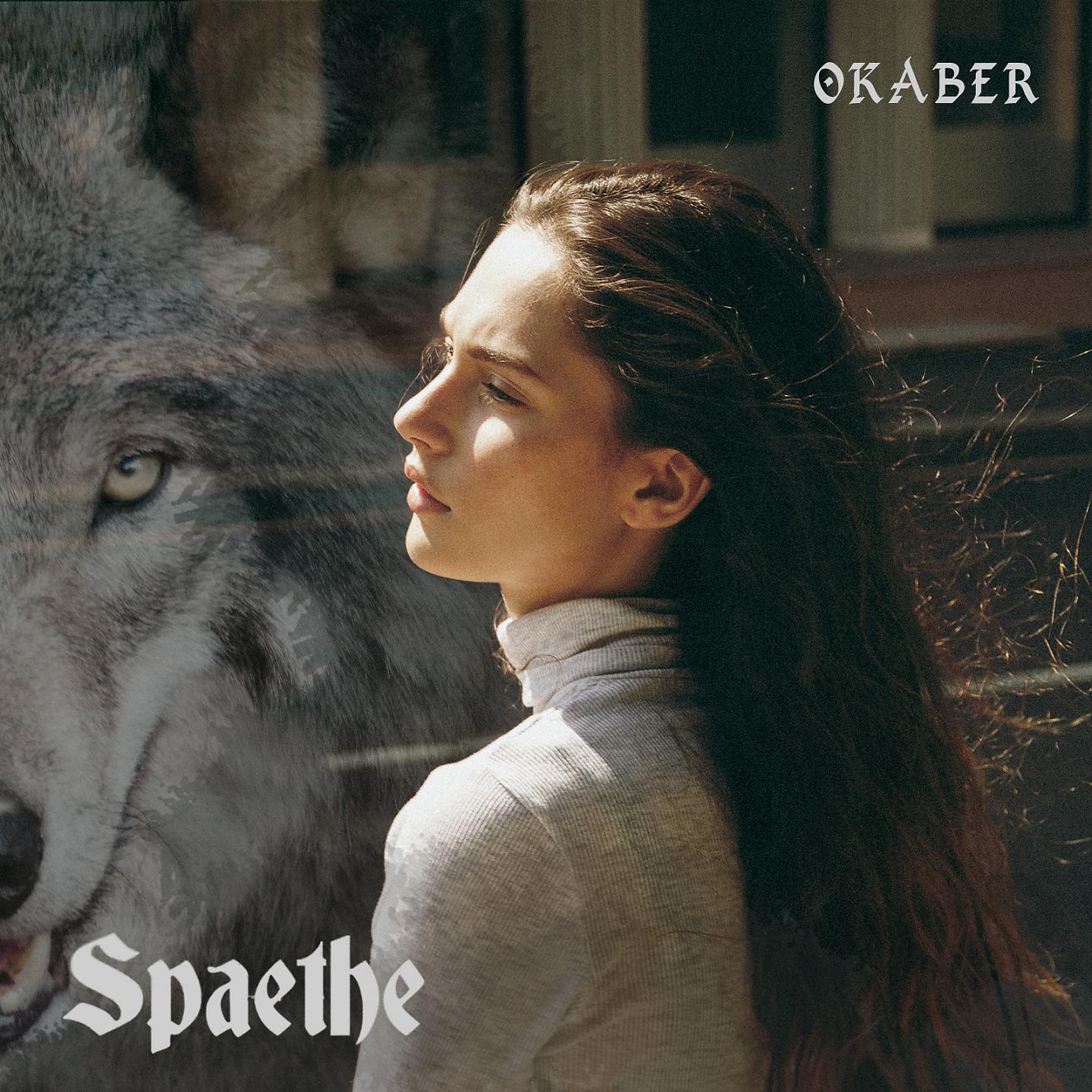 Постер альбома Spaethe