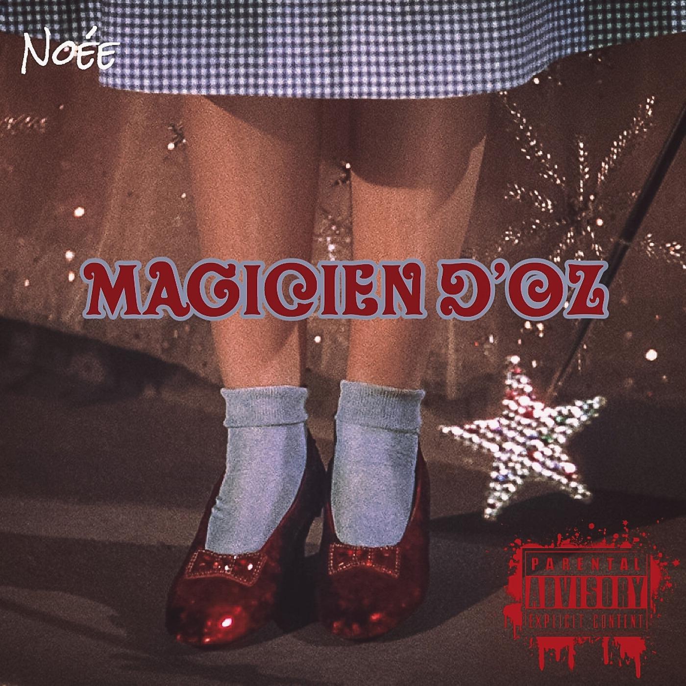 Постер альбома Magicien d'Oz