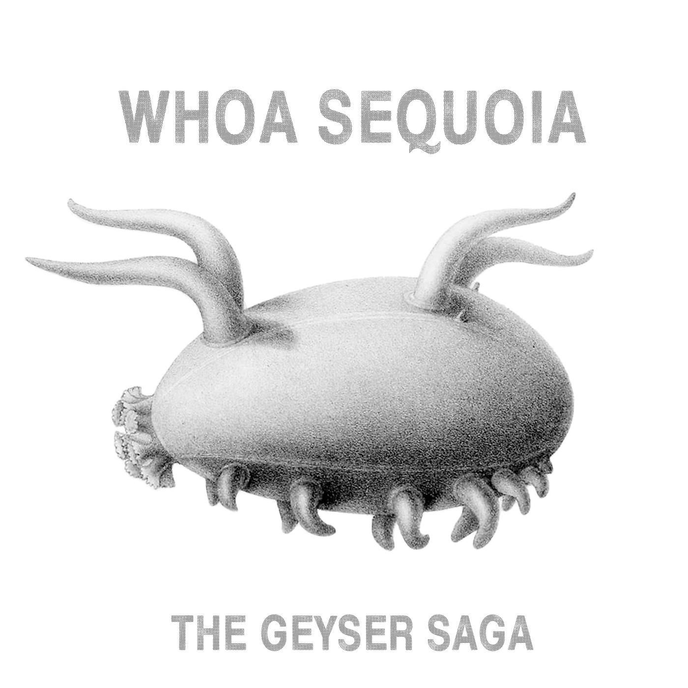 Постер альбома The Geyser Saga