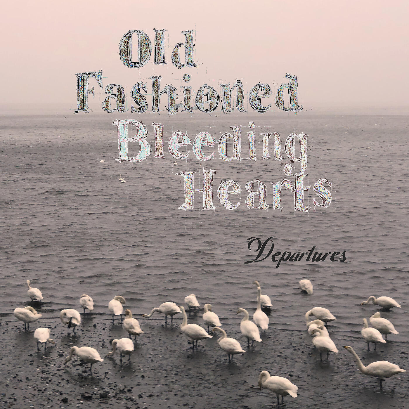 Old Fashioned Bleeding Hearts - Through My Window