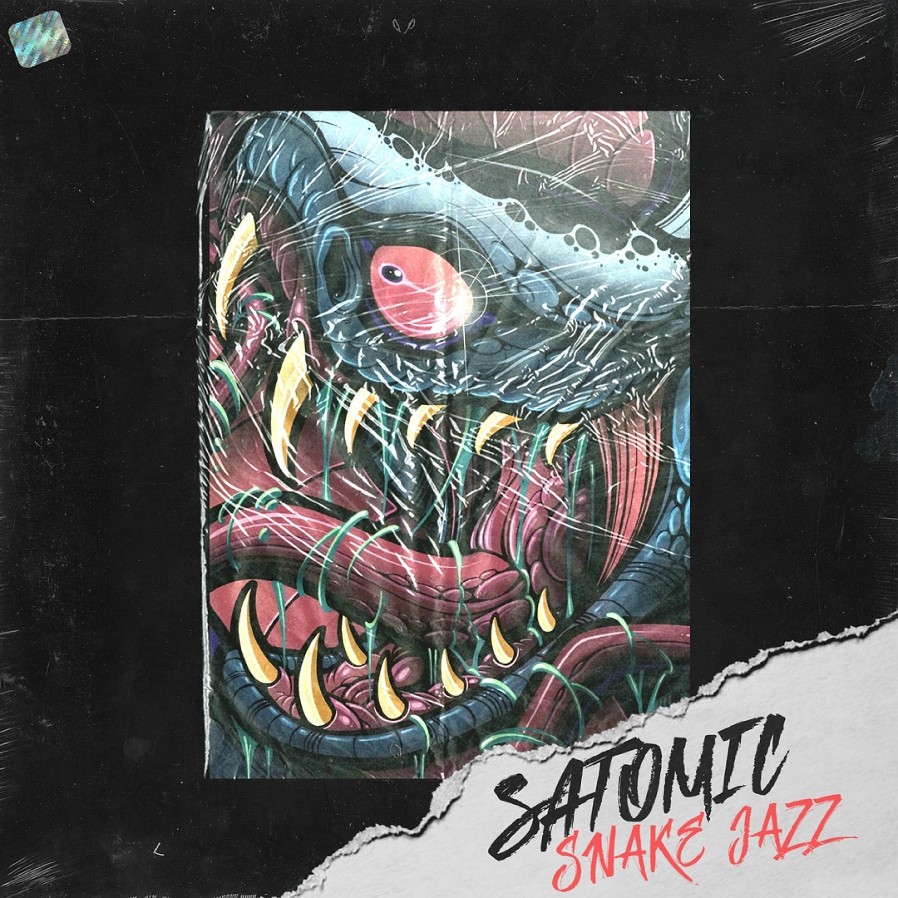 Постер альбома Snake Jazz