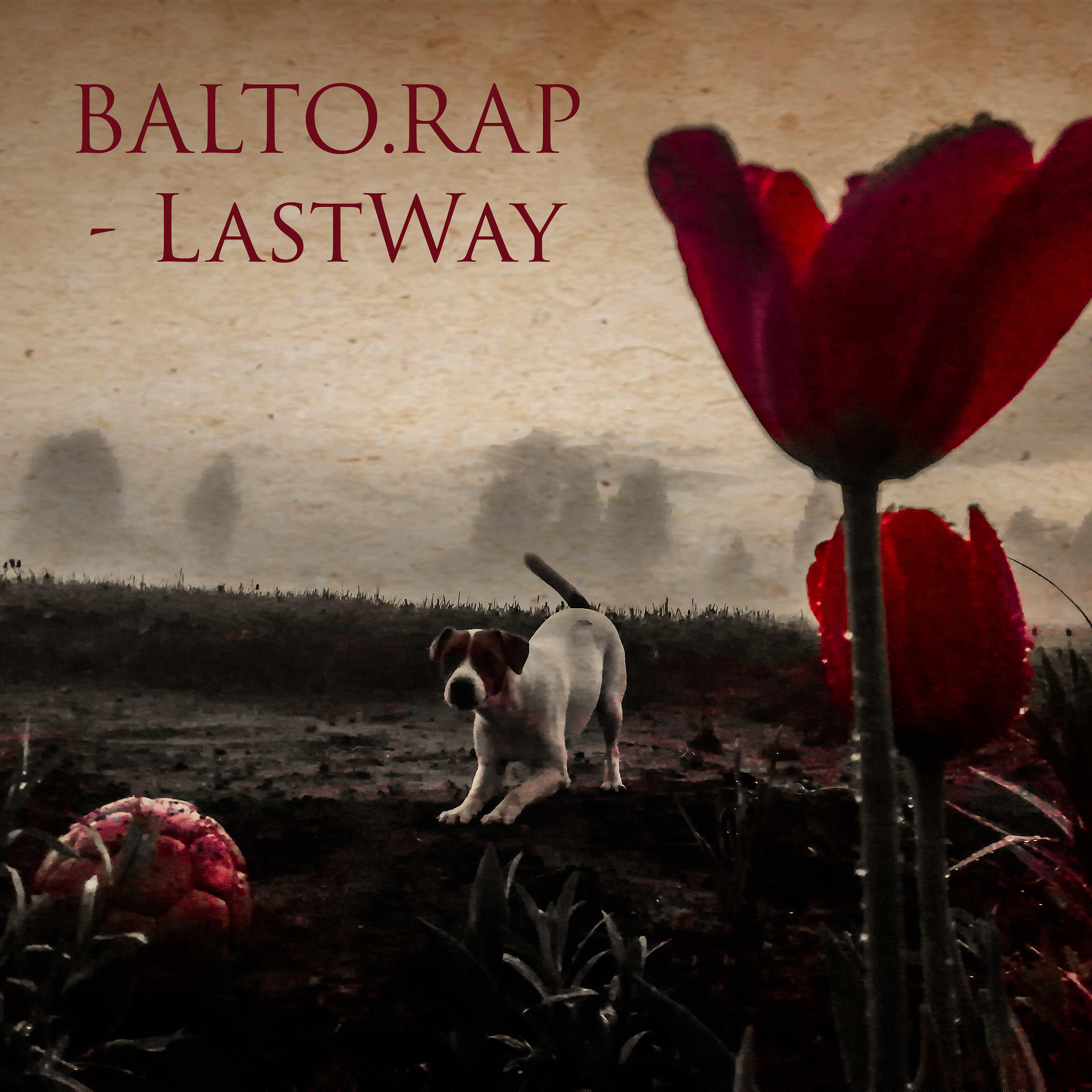 BALTO.RAP - Lastway