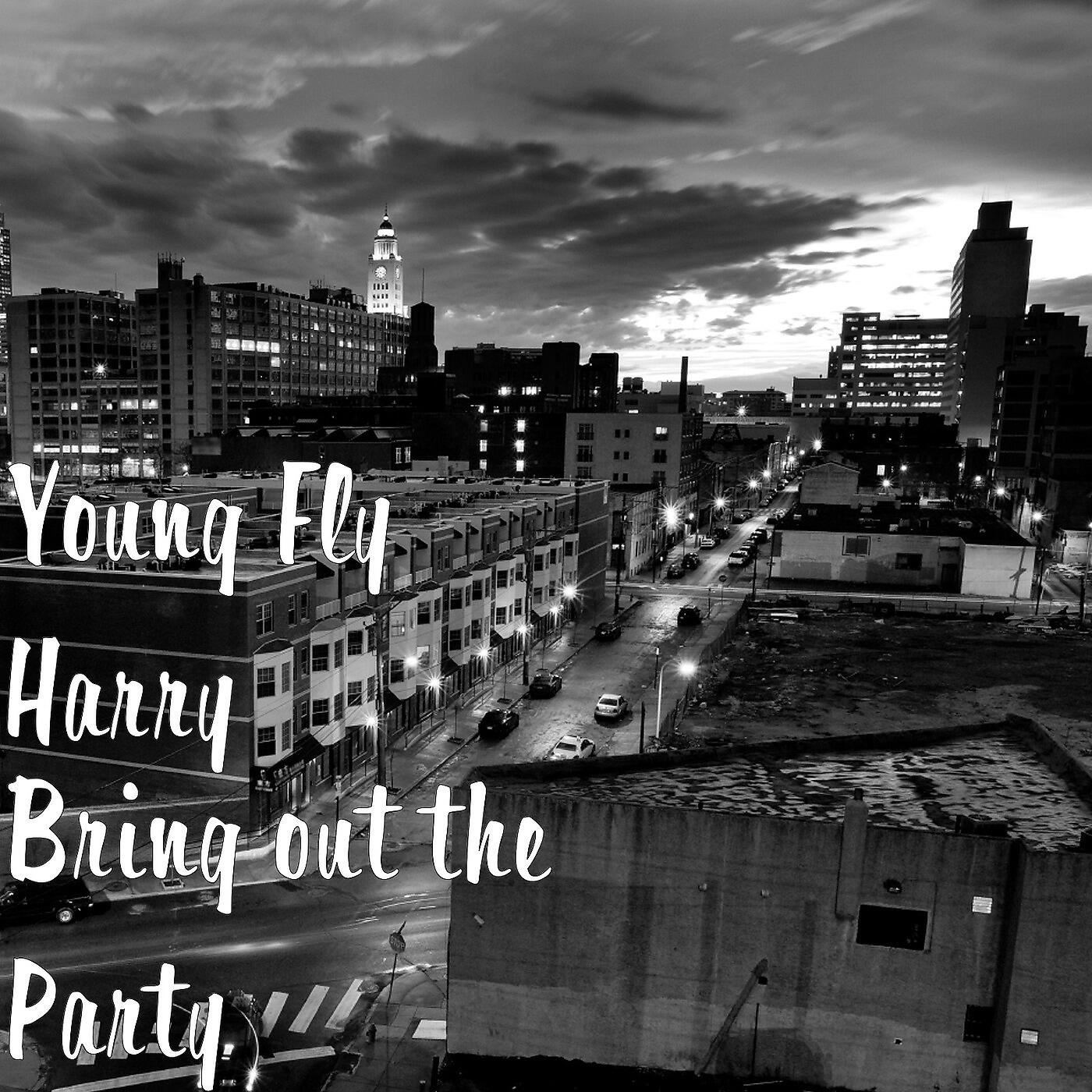 Young Fly Harry - I Dont Care What They Do