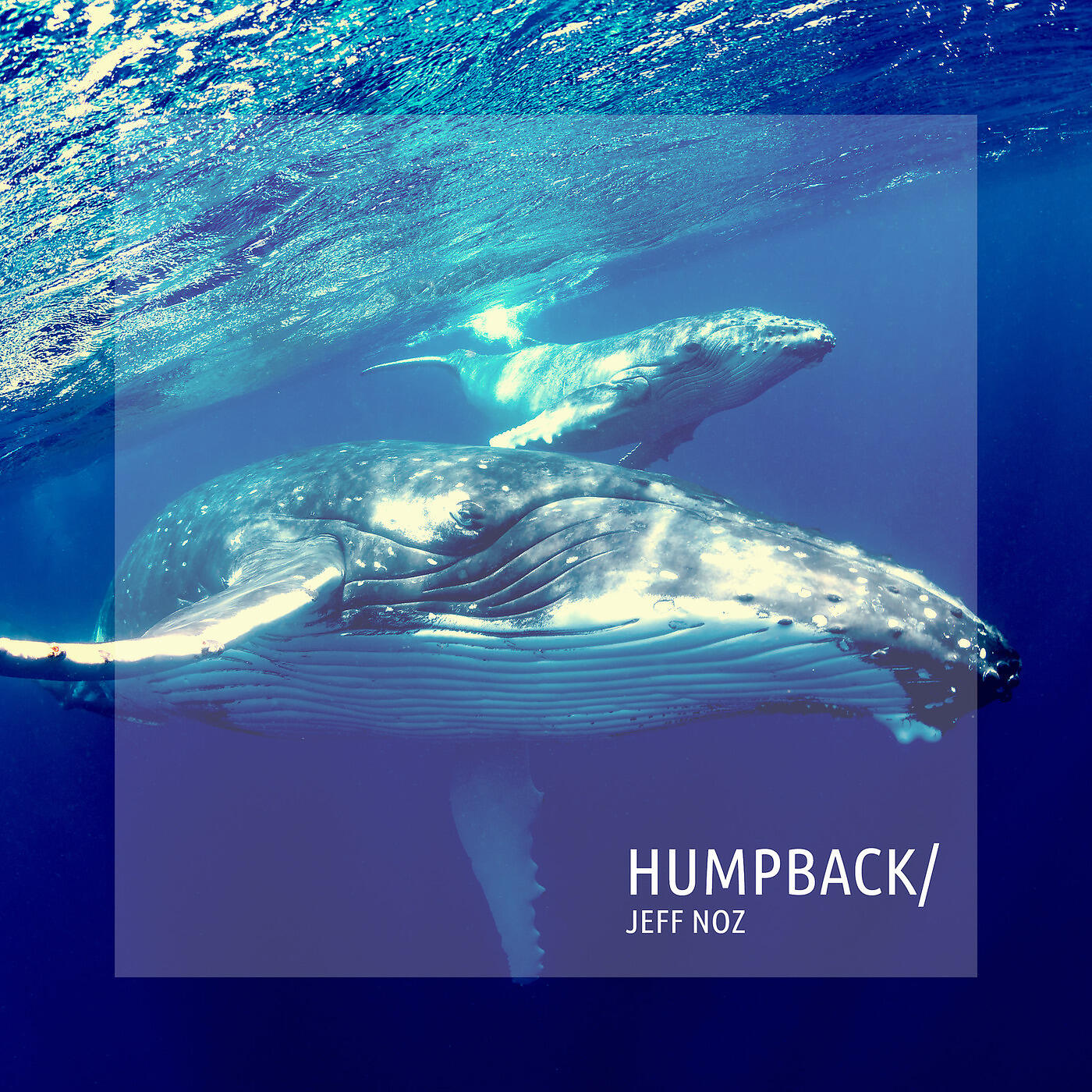 Jeff Noz - Humpback
