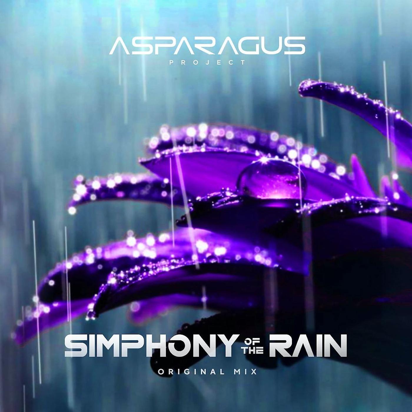 Постер альбома Simphony of the Rain