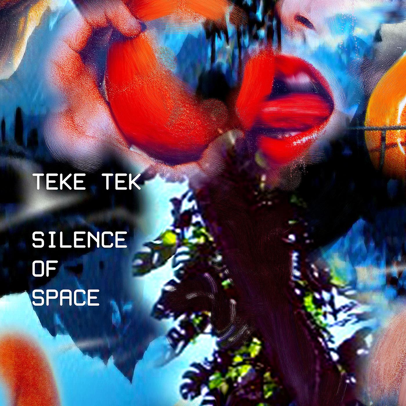 Постер альбома Silence of Space