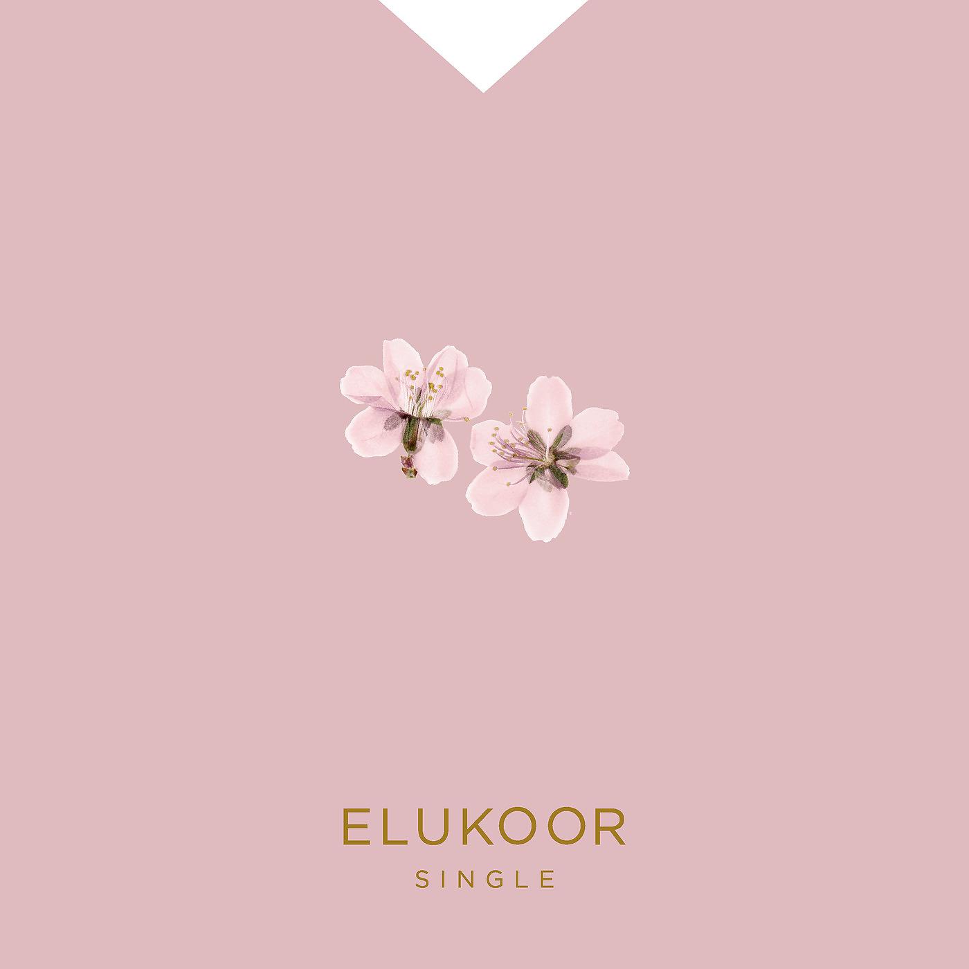 Постер альбома Elukoor